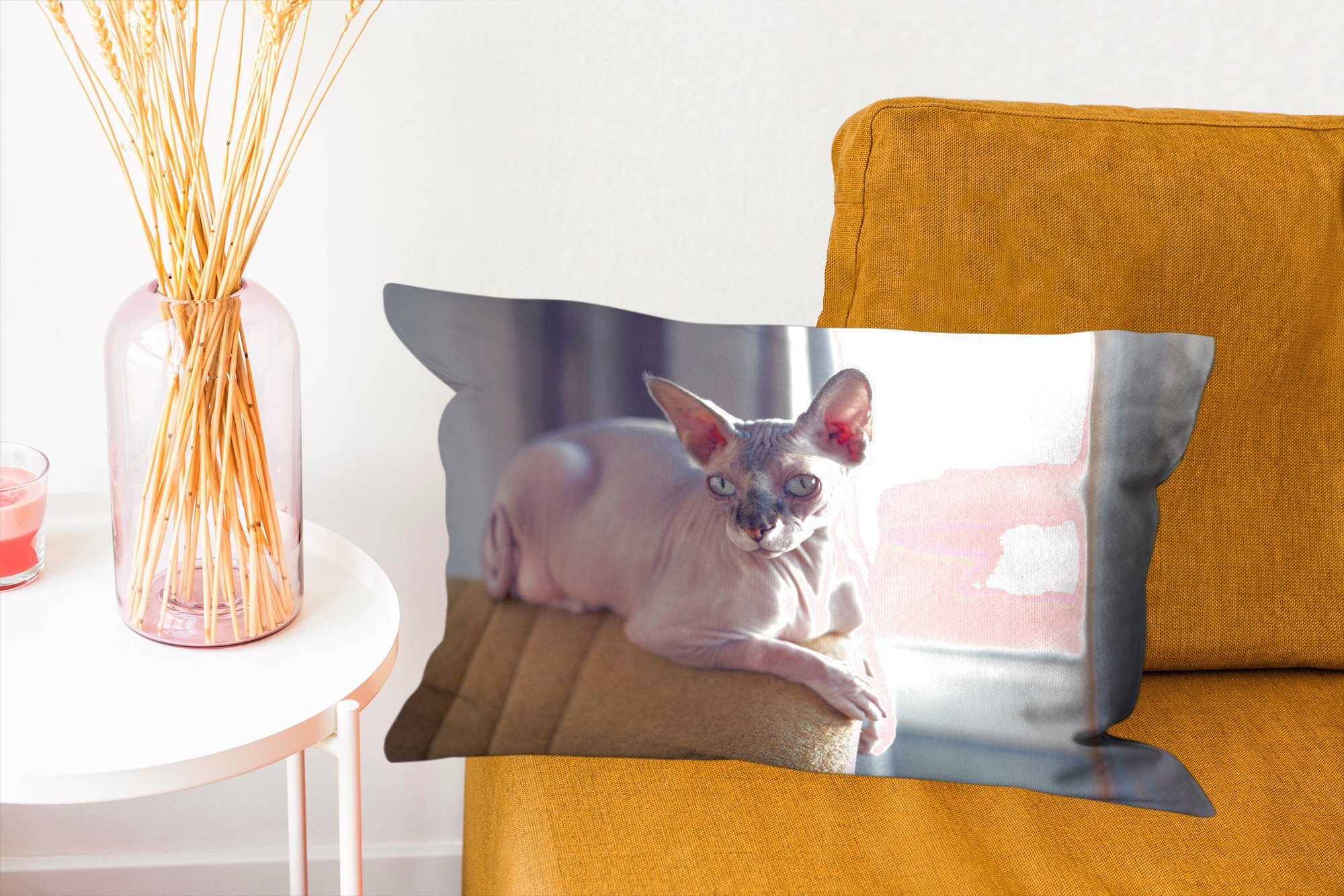 Dekokissen einem Dekokissen Füllung, Stuhl mit liegend, auf Wohzimmer Sphynx-Katze MuchoWow Zierkissen, Dekoration, Schlafzimmer