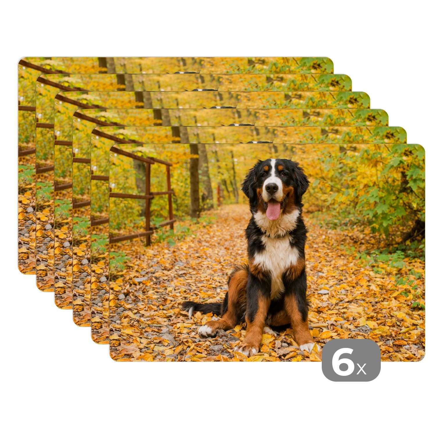 schönem Sennenhund Platzset, Berner MuchoWow, Herbstlaub, Platzset, Ein Tischmatten, Platzmatte, Platzdecken, (6-St), Schmutzabweisend mit