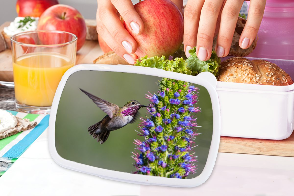 Pflanze und Kinder Lunchbox Brotbox MuchoWow Kunststoff, Brotdose, für - und Jungs (2-tlg), für Erwachsene, Lila, weiß - Mädchen Kolibri