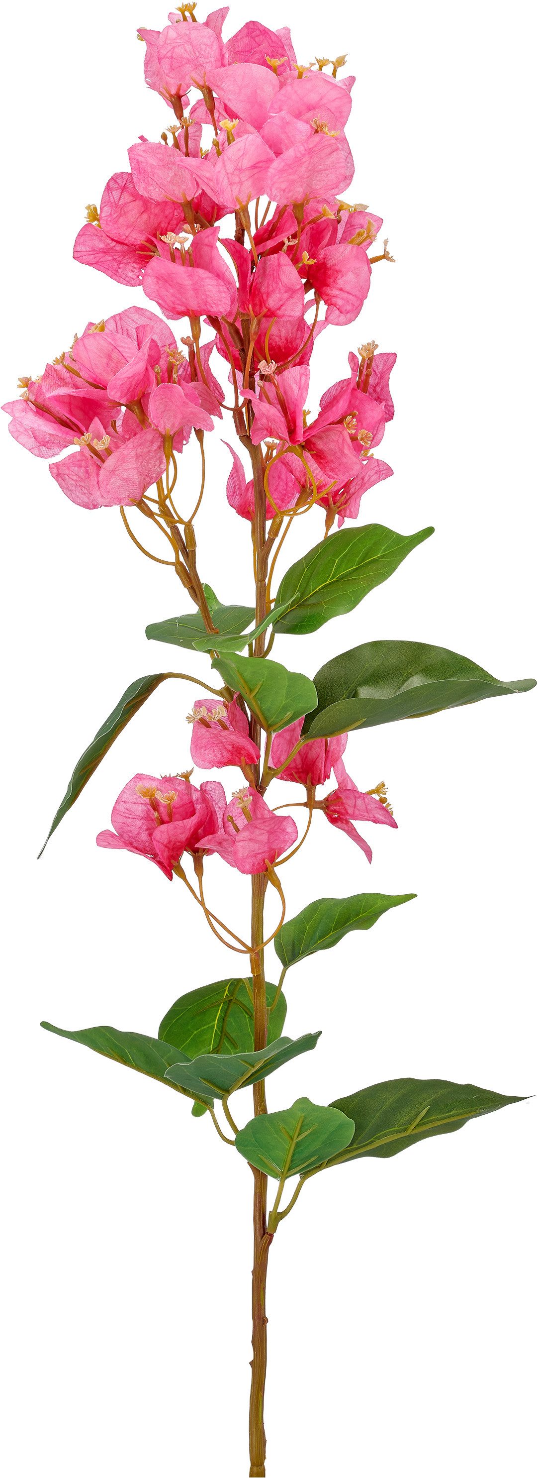Kunstzweig Bougainvilleazweig, Creativ green, Höhe 60 cm, mit traumhaft schönen Blüten