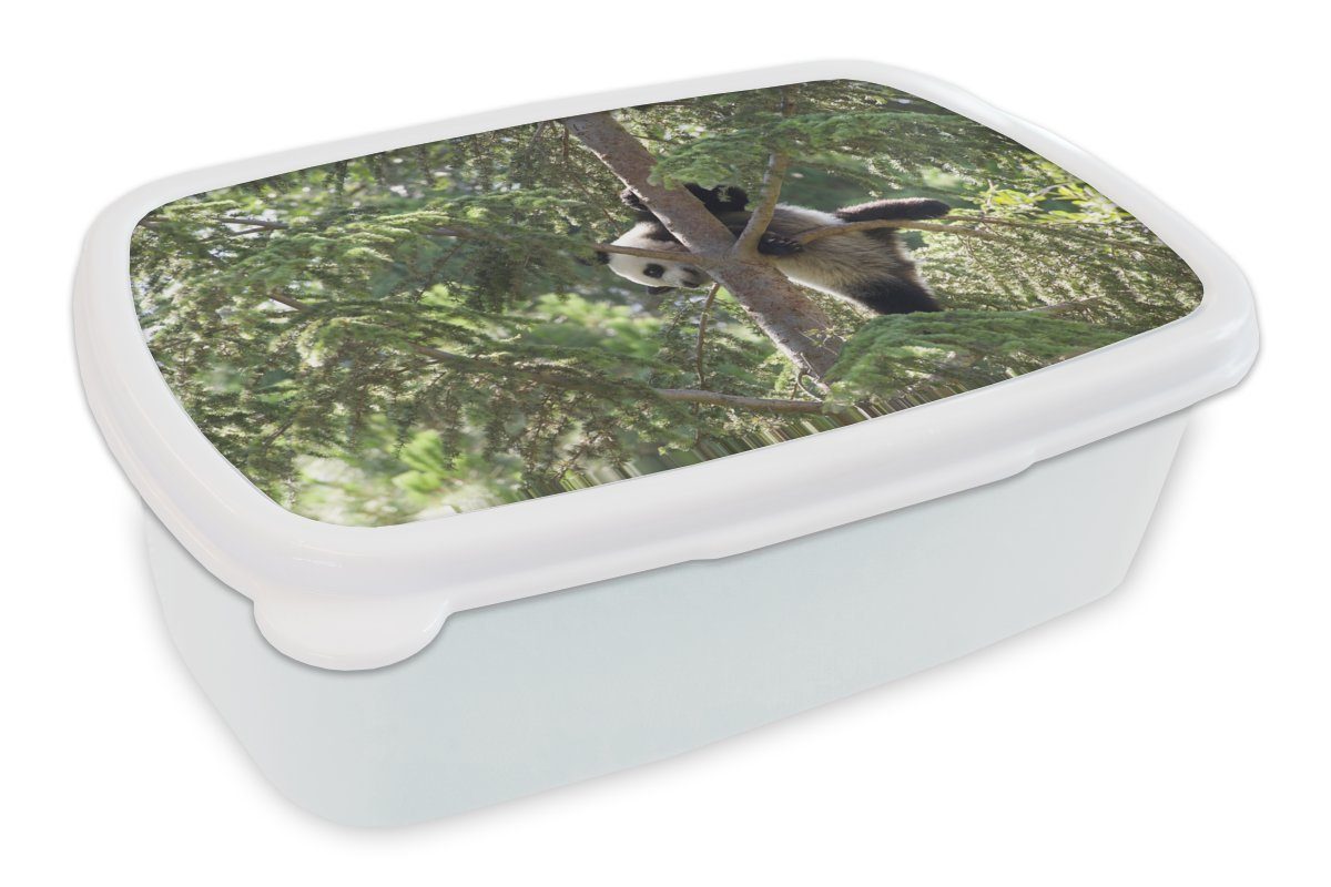 Lunchbox für Mädchen Blätter, Jungs - und MuchoWow - Kunststoff, Baum Brotdose, Panda Erwachsene, für Kinder und weiß Brotbox (2-tlg),