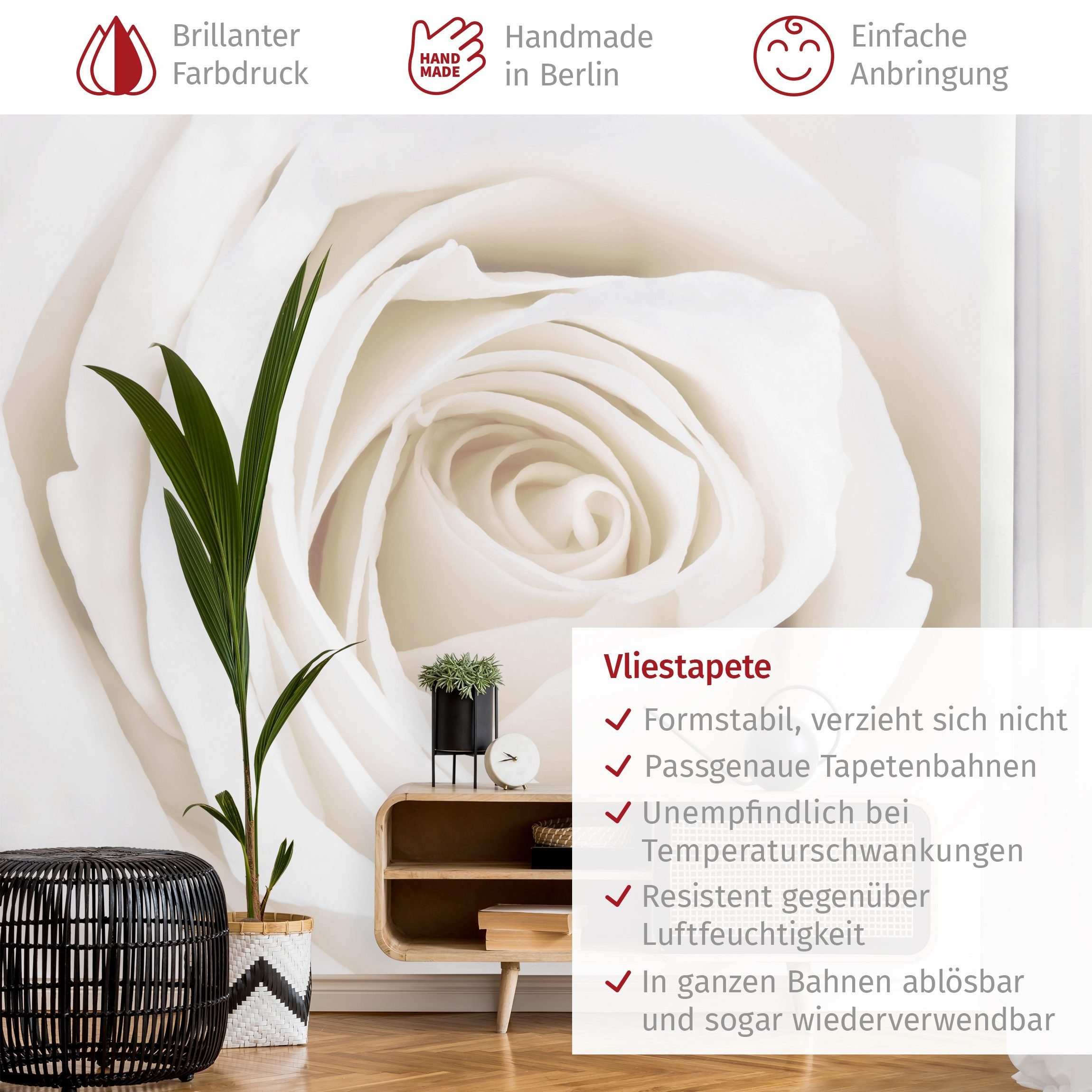Bilderdepot24 Fototapete Rosen Pretty White Rose Blumen Natur Pflanzen Wanddeko, Glatt, Matt, (Vliestapete inkl. Kleister oder selbstklebend), Wohnzimmer Schlafzimmer Küche Flur Motivtapete Vliestapete Wandtapete