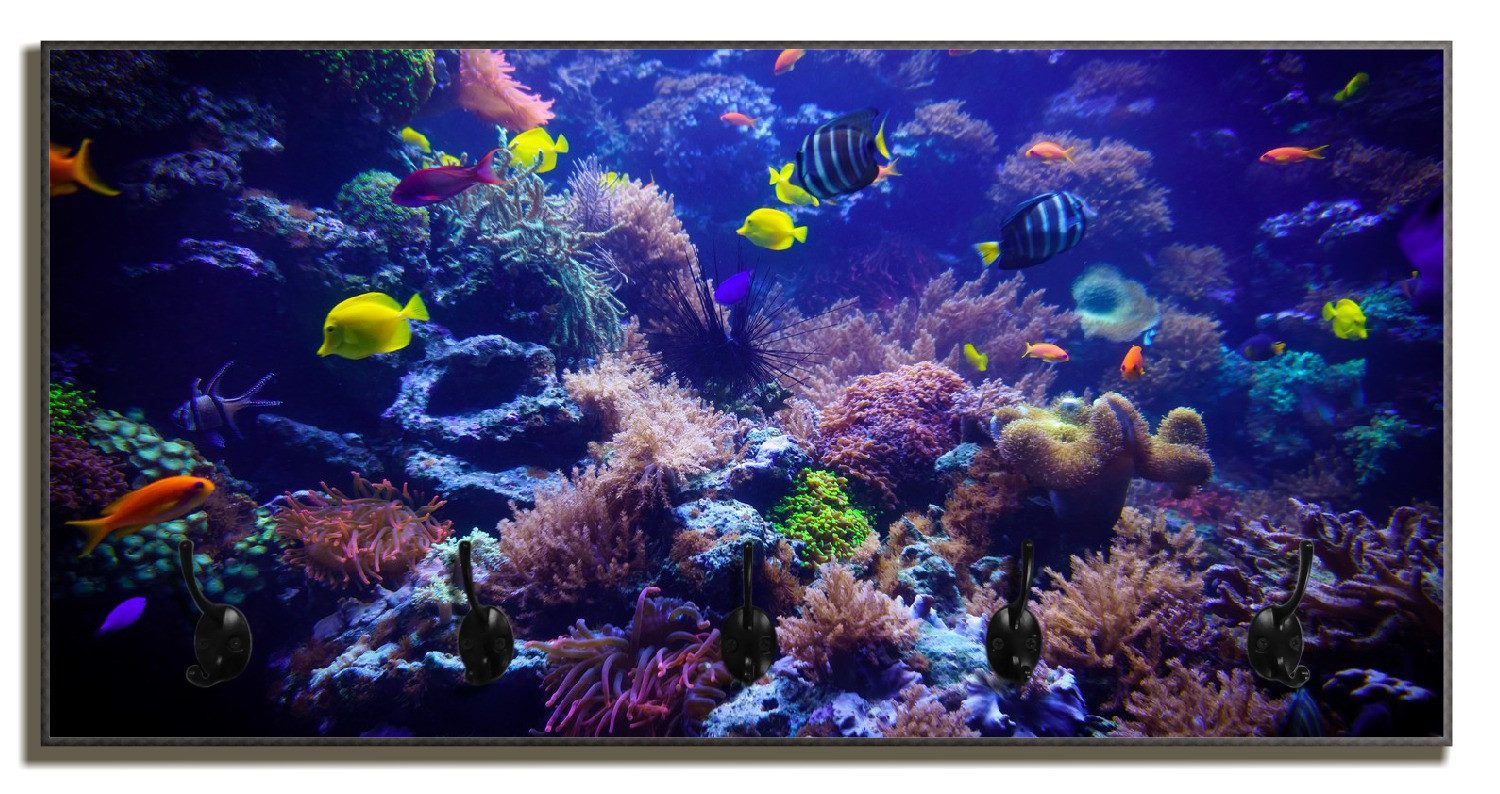 Wallario Garderobenpaneel Farbenwelt unter Wasser (1-teilig, inkl. Haken und Befestigung), 80x40cmHolz