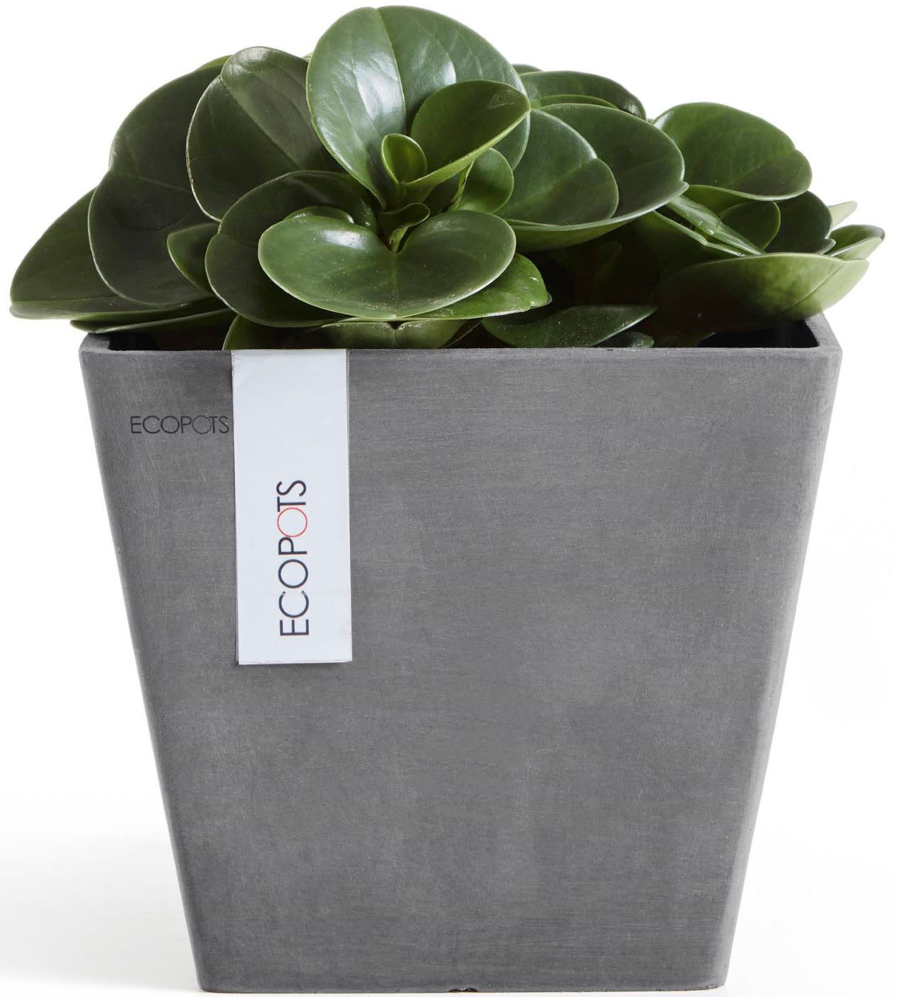ECOPOTS Blumentopf ROTTERDAM Grey, BxTxH: 20x20x17,5 cm