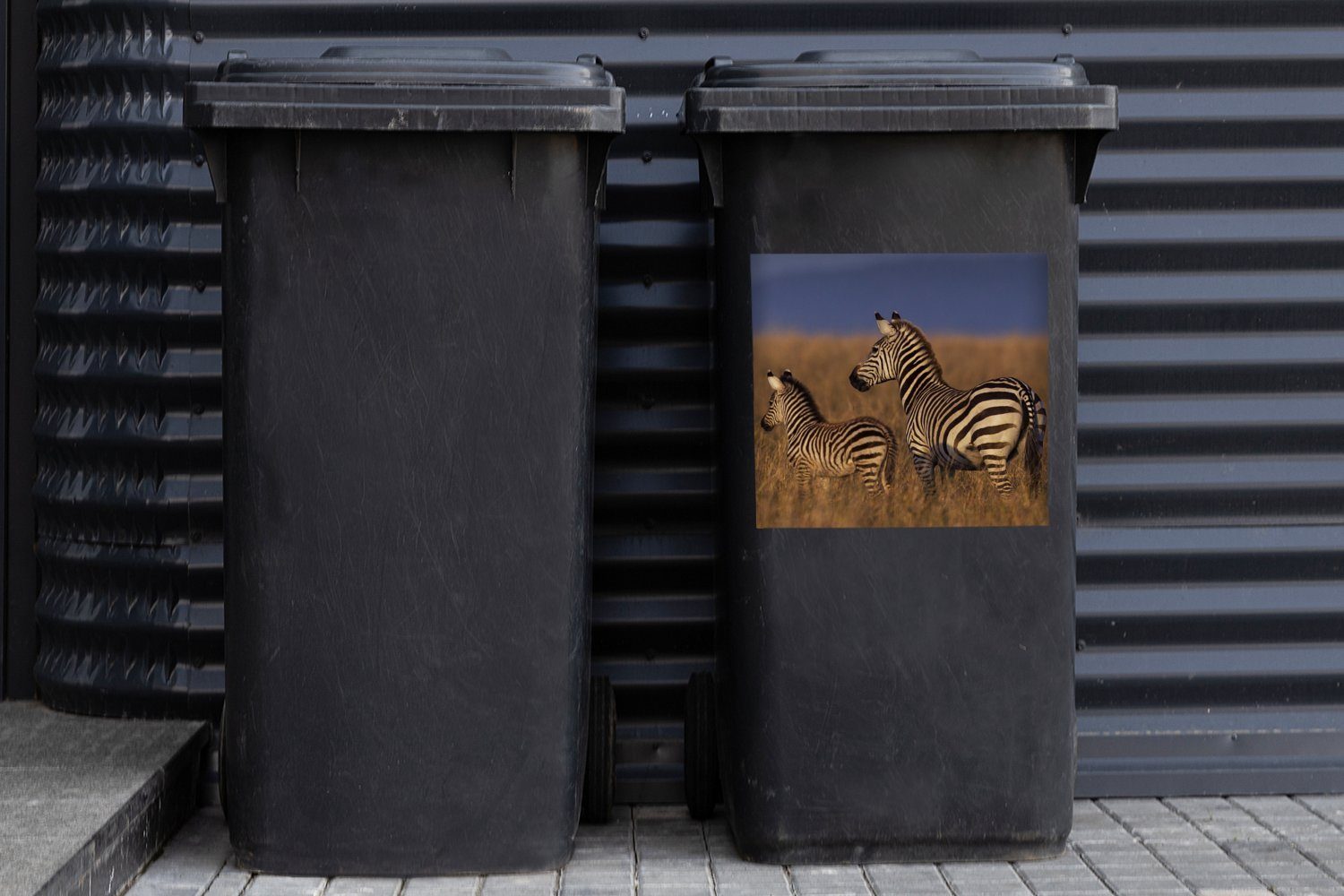 Mülleimer-aufkleber, Mutter Wandsticker und MuchoWow Mülltonne, (1 Sticker, Abfalbehälter St), Babyzebra Container,