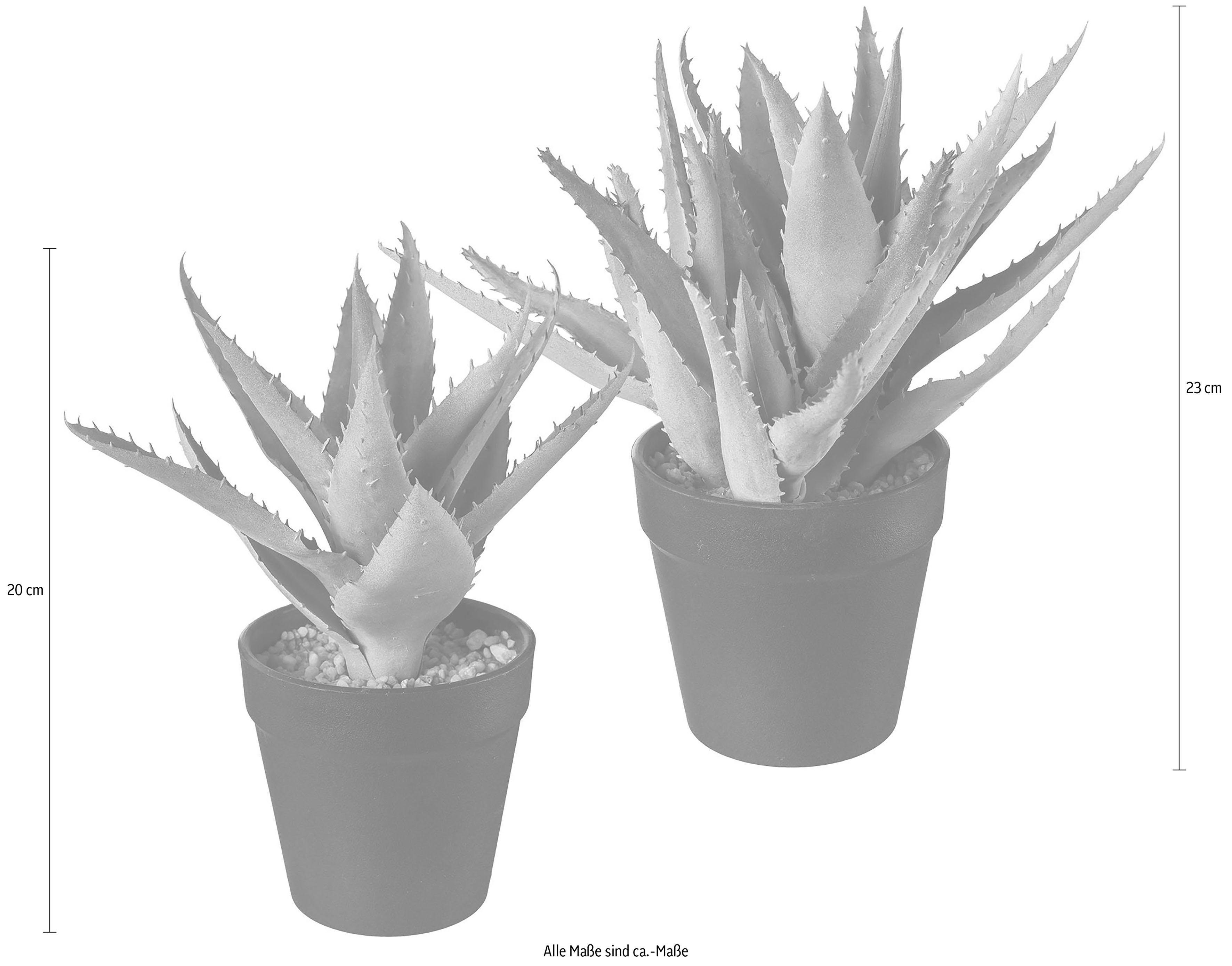 Künstliche Zimmerpflanze, Creativ green, 2er Set