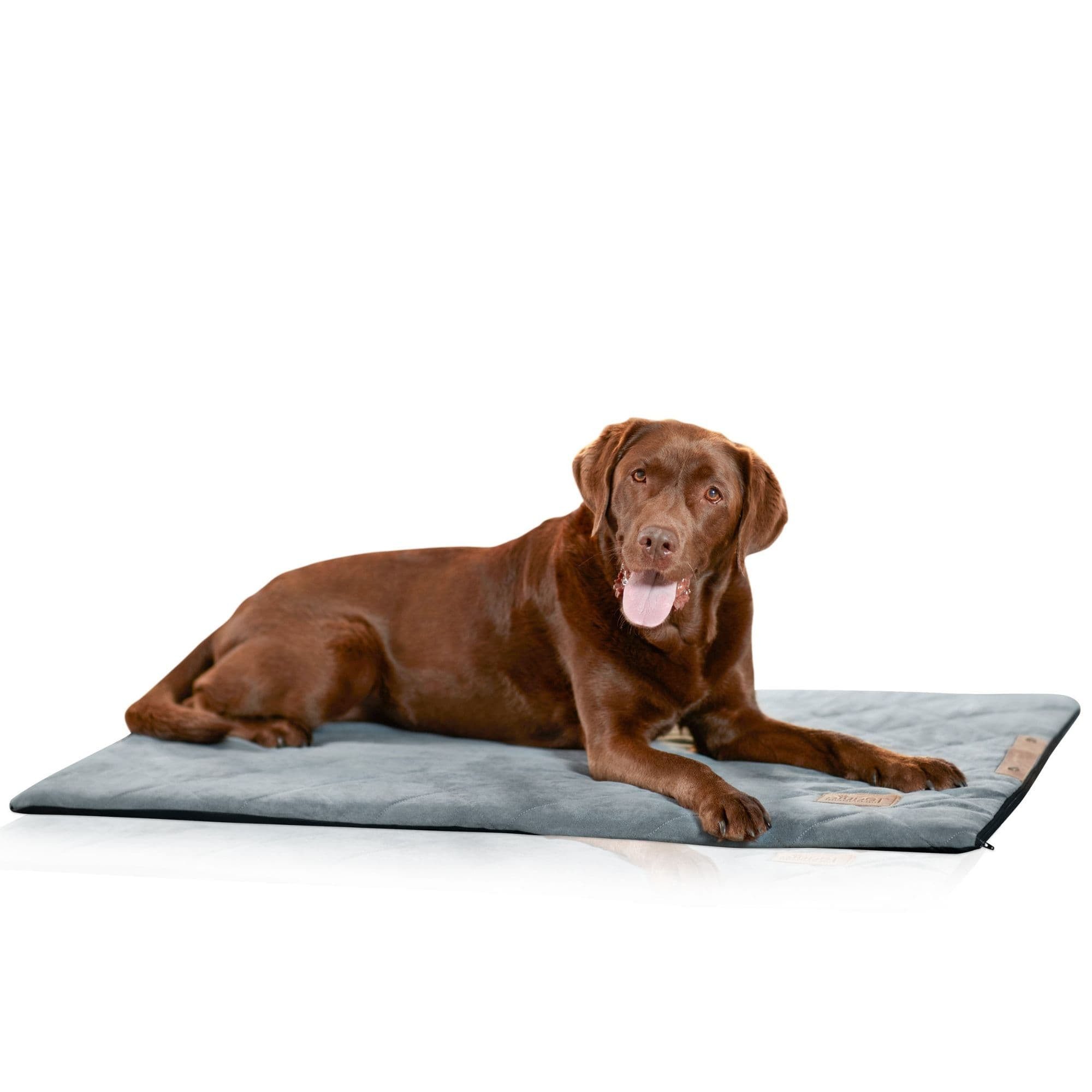 Piupet Tierdecke Hundedecke 70x100cm I waschbar günstig online kaufen