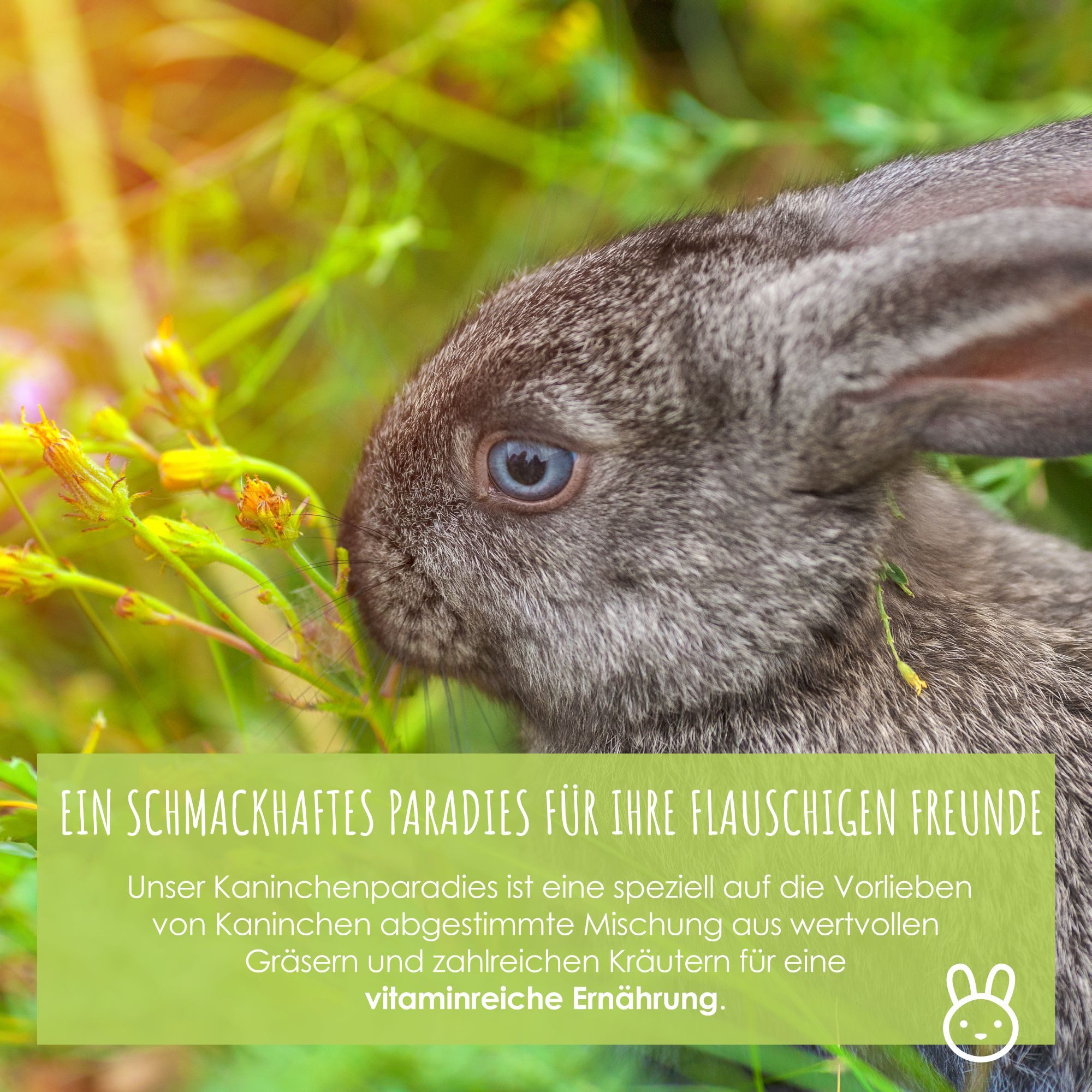 HappySeed Kräutersamen Kaninchenwiese Samen - Kleintierw. Saatgut (Anzucht von Zusatzfutter), 0.1 kg, Zusatzfutter