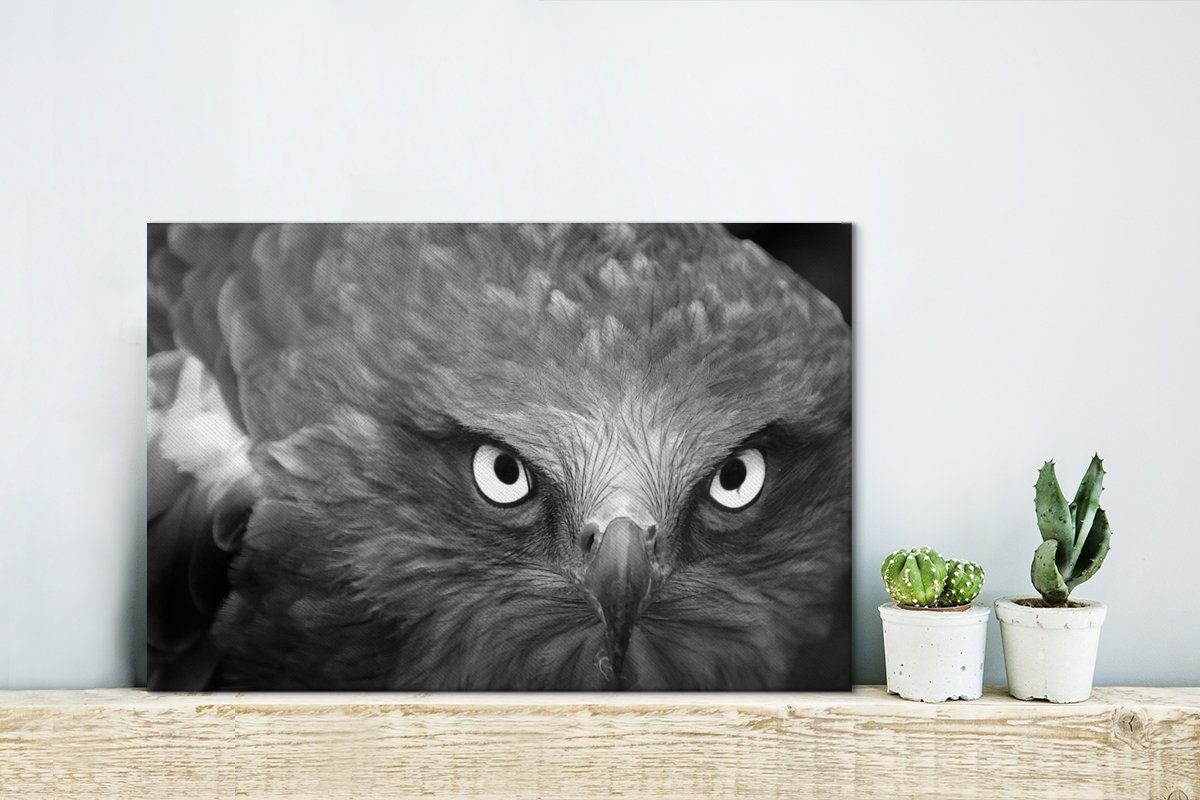 30x20 - Adler (1 Leinwandbilder, Leinwandbild Schwarz Weiß, Wandbild St), Aufhängefertig, - cm OneMillionCanvasses® Wanddeko,