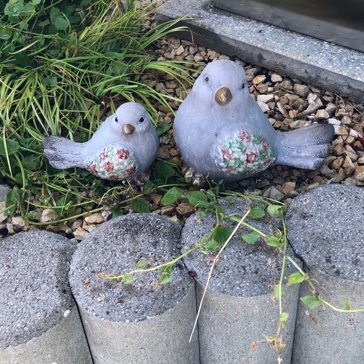 Radami Vogeltränke Vogel Spatz Vogelpaar