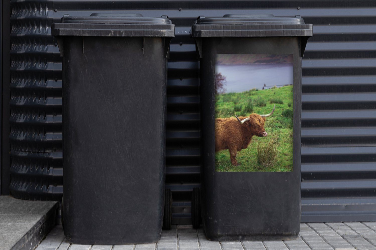 Sticker, Mülltonne, Wasser - (1 St), Highlander Tiere - MuchoWow Schottische Abfalbehälter Mülleimer-aufkleber, Gras - Wandsticker Container,