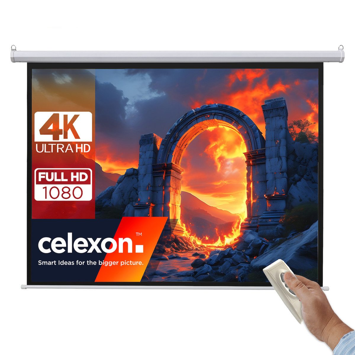 Celexon basic line Motorleinwand (schwarze Rückseite)