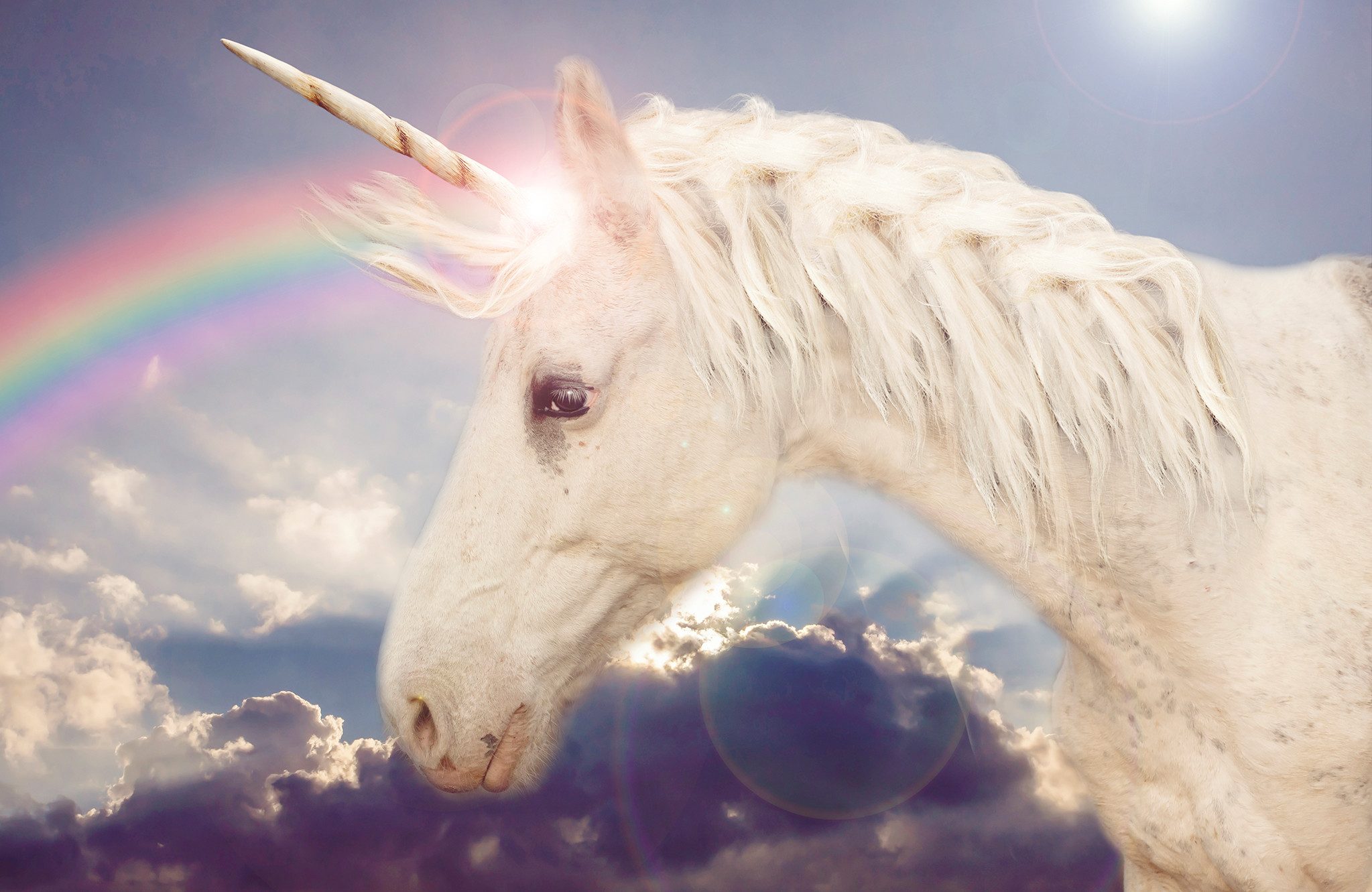 Papermoon Fototapete VLIES-Tapete Premium "Einhorn", Kleister KOSTENLOS, reduziert, 3D-Effekt, restlos trocken abziehbar, (5760), Wandtapete Bild Dekoration Wand-Dekor Motiv Tapete Poster