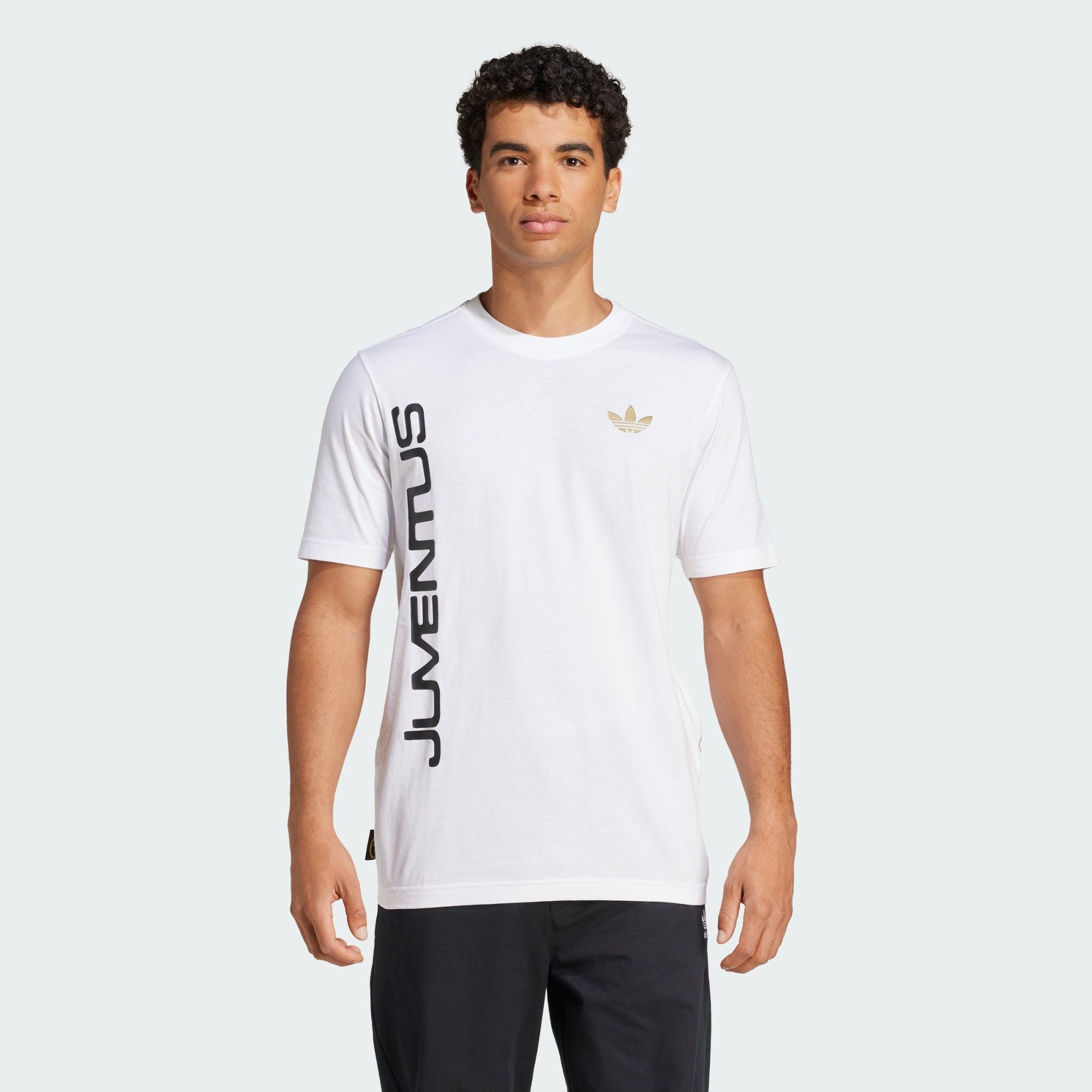 adidas Performance Fußballtrikot JUVENTUS TURIN GRAPHIC günstig online kaufen