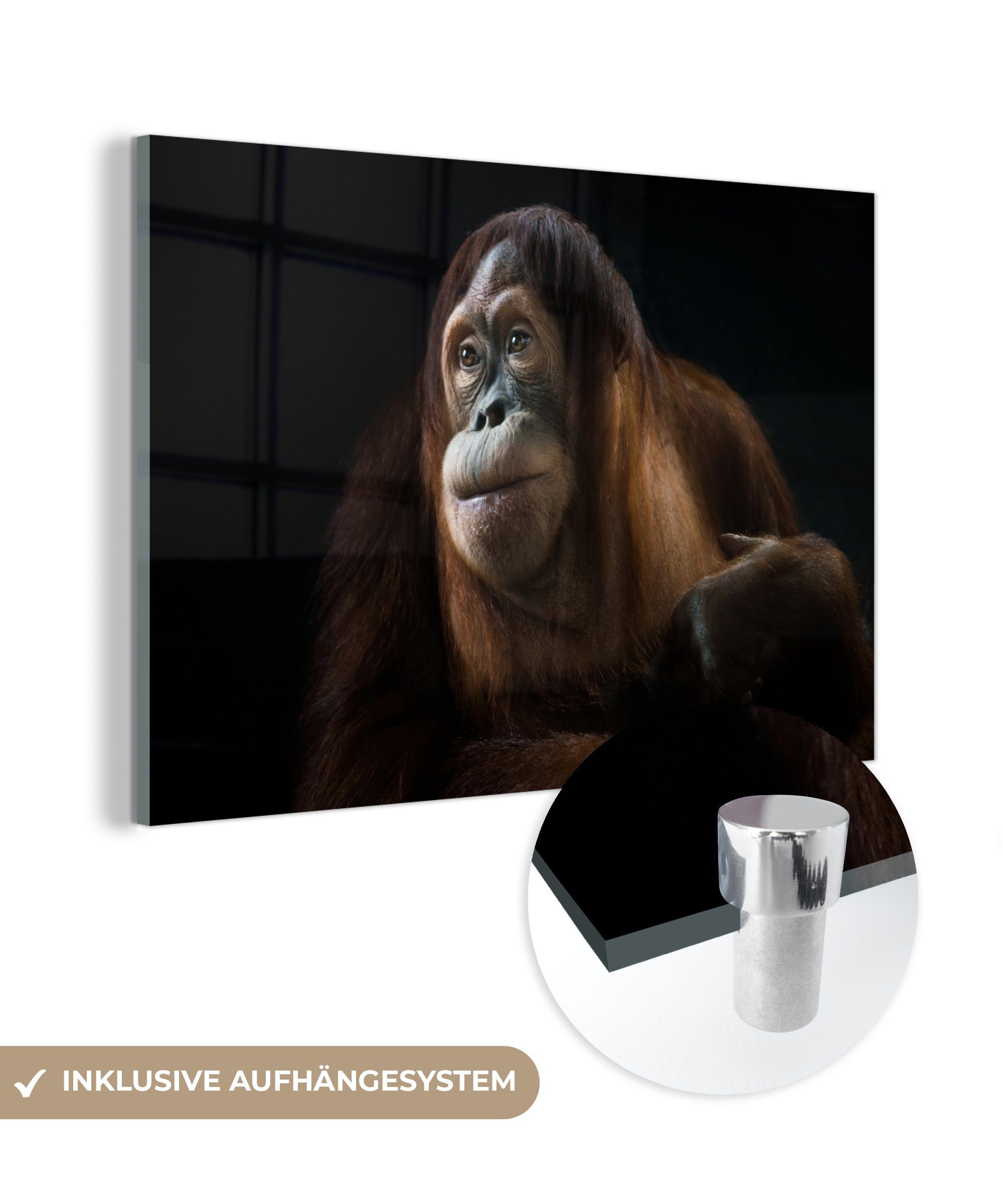 MuchoWow Acrylglasbild Sumatra-Orang-Utan, (1 St), Acrylglasbilder Wohnzimmer & Schlafzimmer