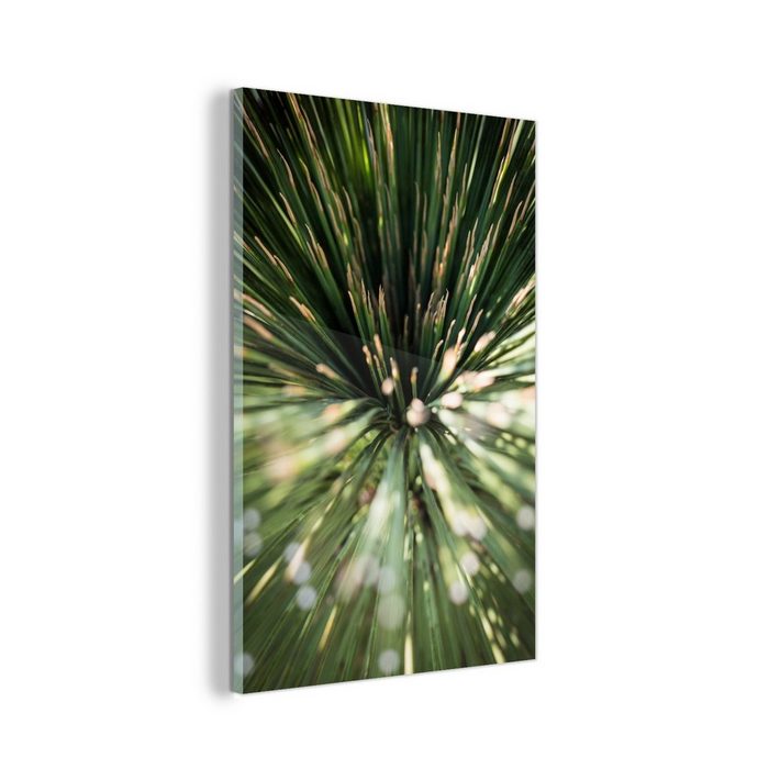 MuchoWow Acrylglasbild Kaktus - Abstrakt - Pflanze (1 St) Glasbilder - Bilder auf Glas Wandbild - Foto auf Glas - Wanddekoration SY12430
