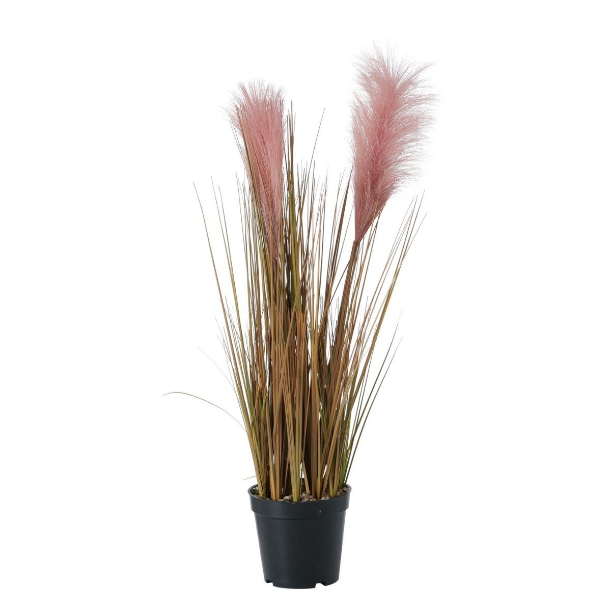 Kunstpflanze Topfplanze Pampasgras 65 cm, BOLTZE, Höhe 0 cm