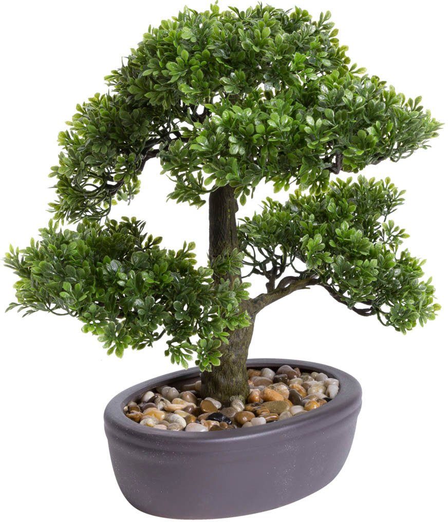 Kunstbonsai Ficus Bonsai Ficus, Botanic-Haus, Höhe 32 cm