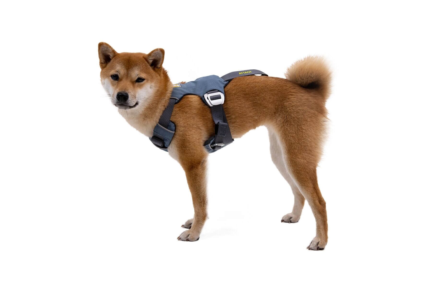 Ruffwear Autohundegeschirr Load Up Harness