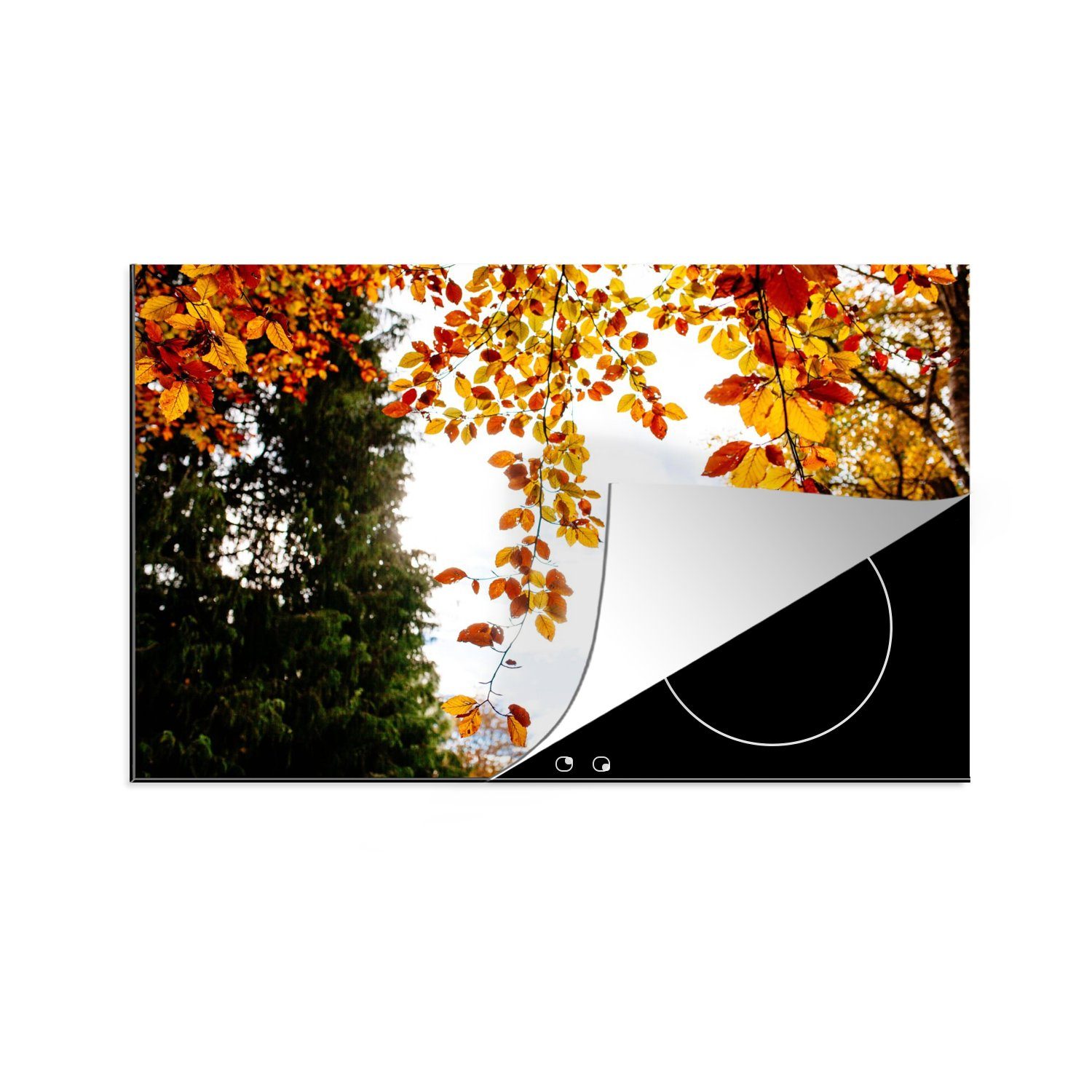 MuchoWow Herdblende-/Abdeckplatte Herbst - Laub - Natur, Vinyl, (1 tlg), 80x52 cm, Induktionskochfeld Schutz für die küche, Ceranfeldabdeckung