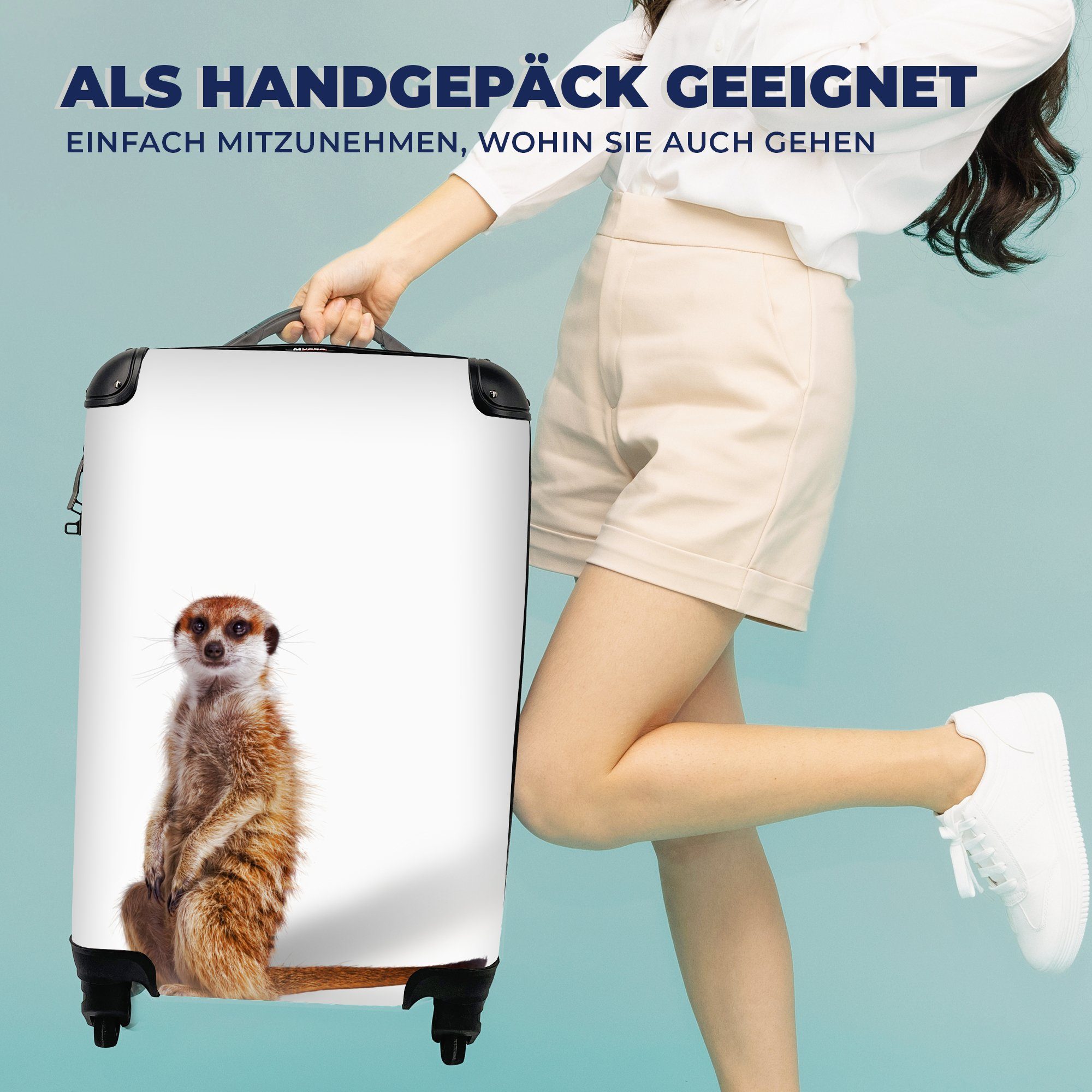 Handgepäckkoffer Erdmännchen - Rollen, mit Tiere - Reisekoffer Ferien, MuchoWow 4 für Reisetasche Fell, rollen, Trolley, Handgepäck