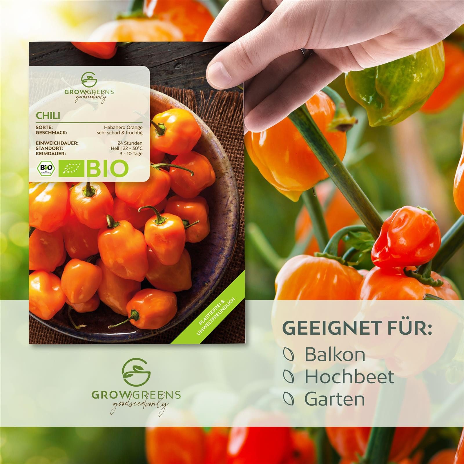 Growgreens Gemüsesamen BIO Chili Samen (Habanero Orange, 250.000 Scoville) -Saatgut (10 Korn), Chili