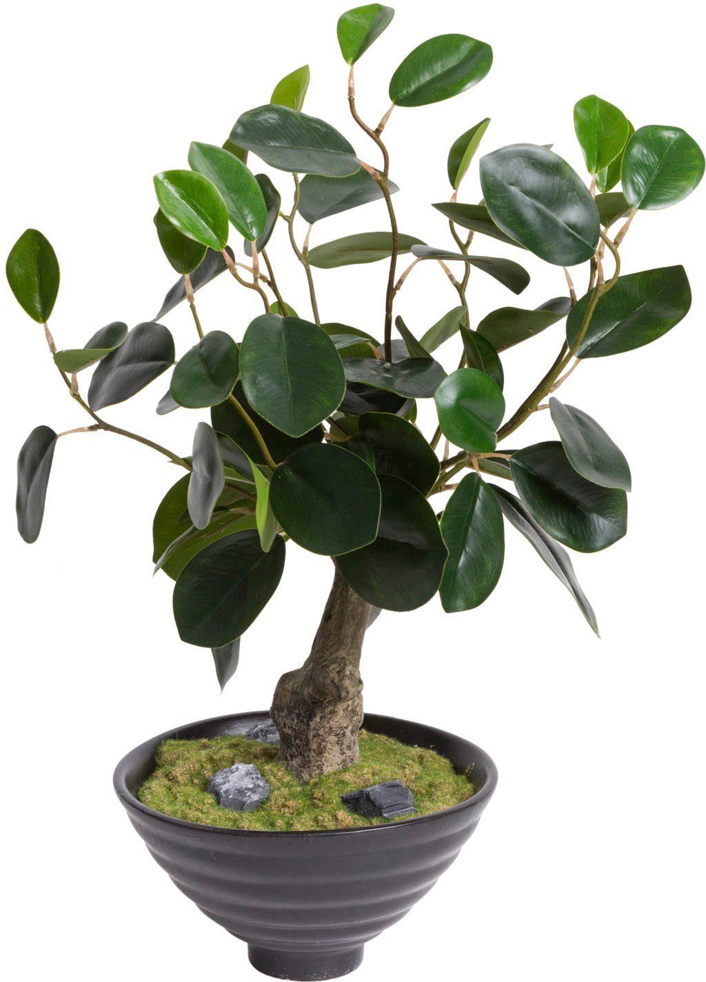 Kunstbonsai Bonsai Bonsai, Botanic-Haus, Höhe 40 cm