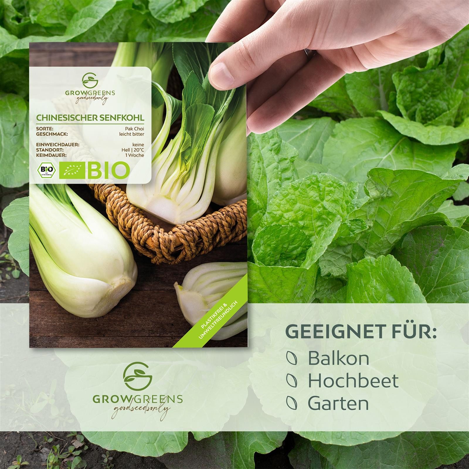 Growgreens Gemüsesamen BIO Chinesischer Senfkohl Samen (Pak Choi) -Pak Choi Saatgut 150 Korn, Gemüse