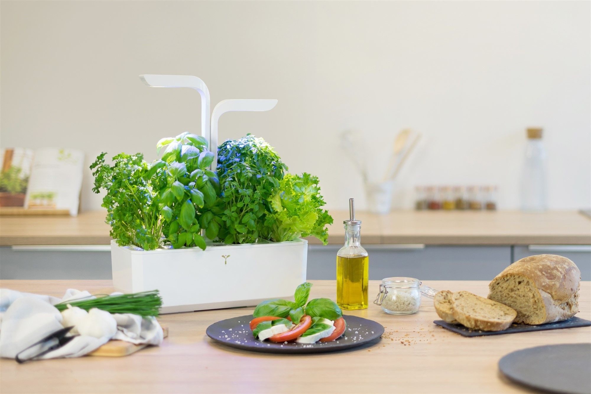 Veritable Anzuchttopf Vèritable CLASSIC (1 St)