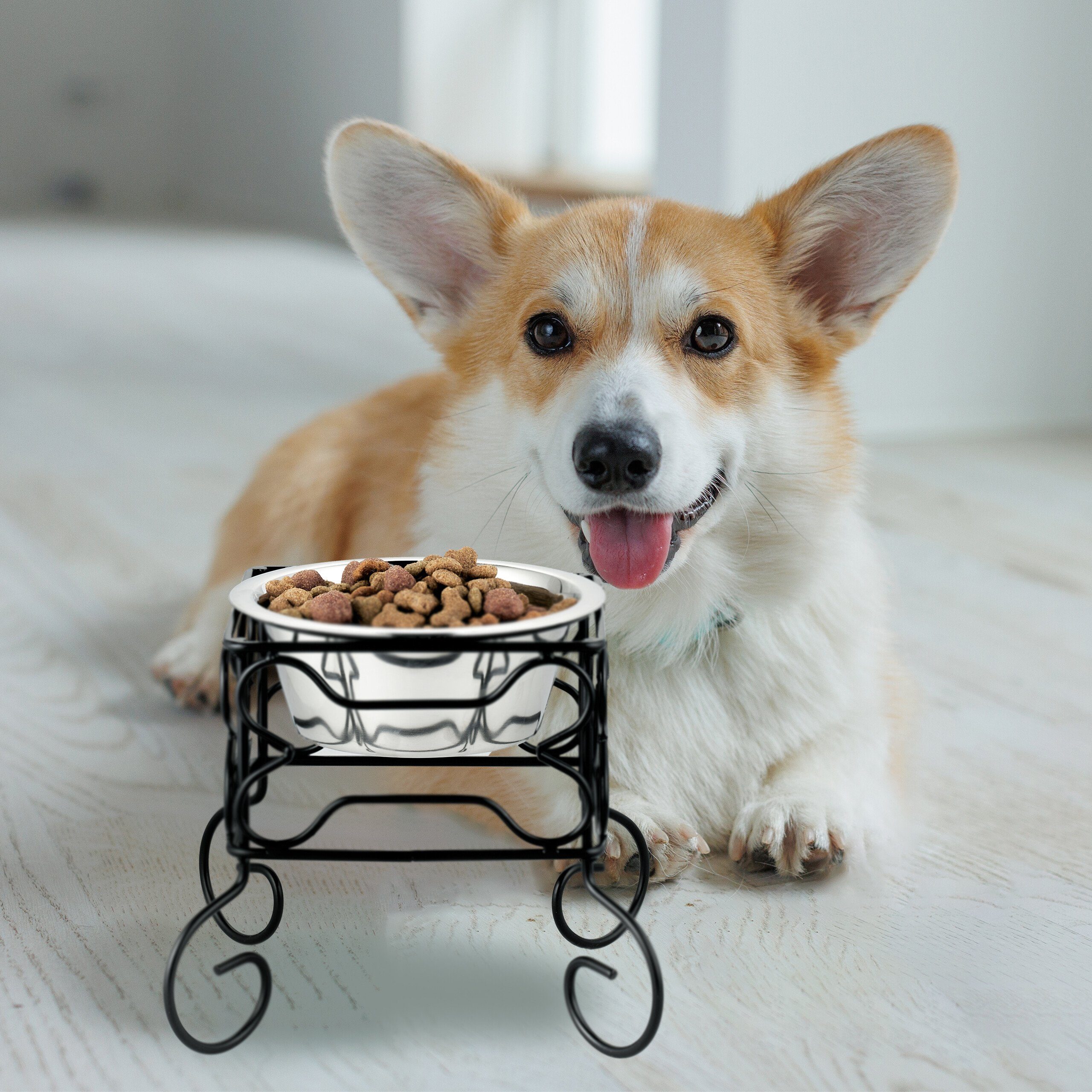 relaxdays Napf Erhöhter Hundenapf 700 ml