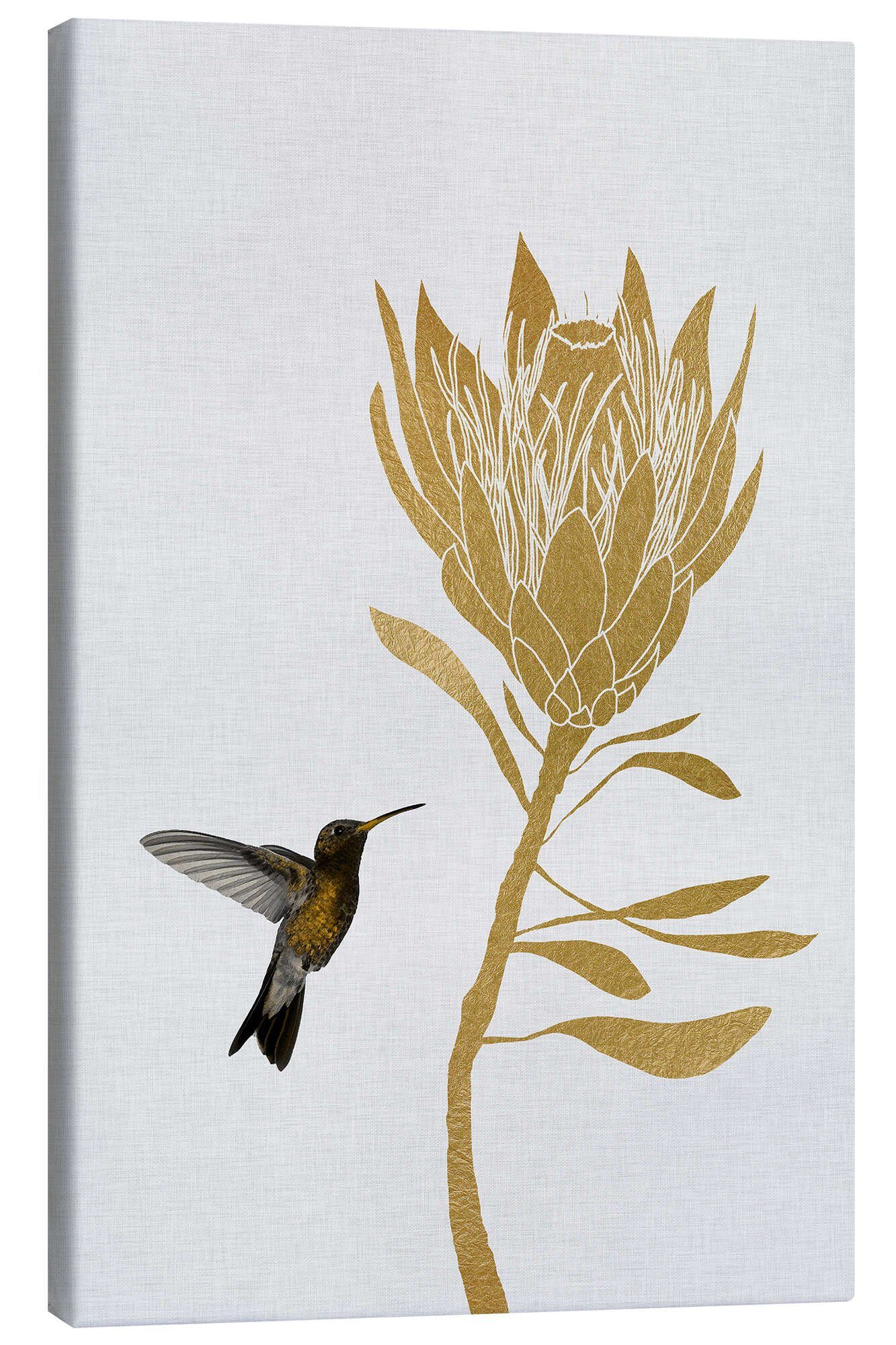 Posterlounge Wandbild Kolibri & Blume I, Orara Studio, erhältlich als Poster, Leinwandbild, Wandsticker oder Acrylglasbild