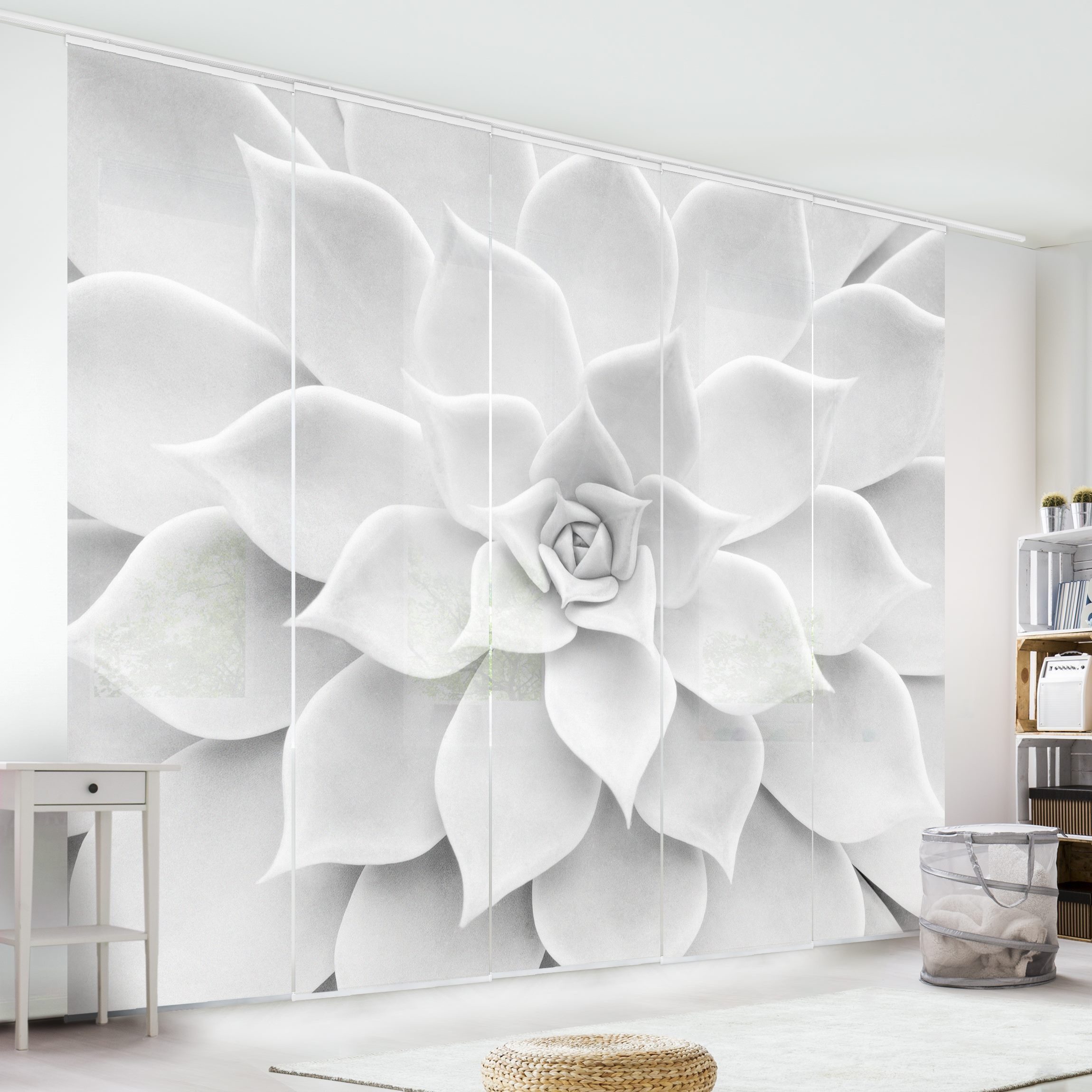Bilderdepot24 Schiebegardine modern Flächenvorhang blickdicht Kaktus günstig online kaufen
