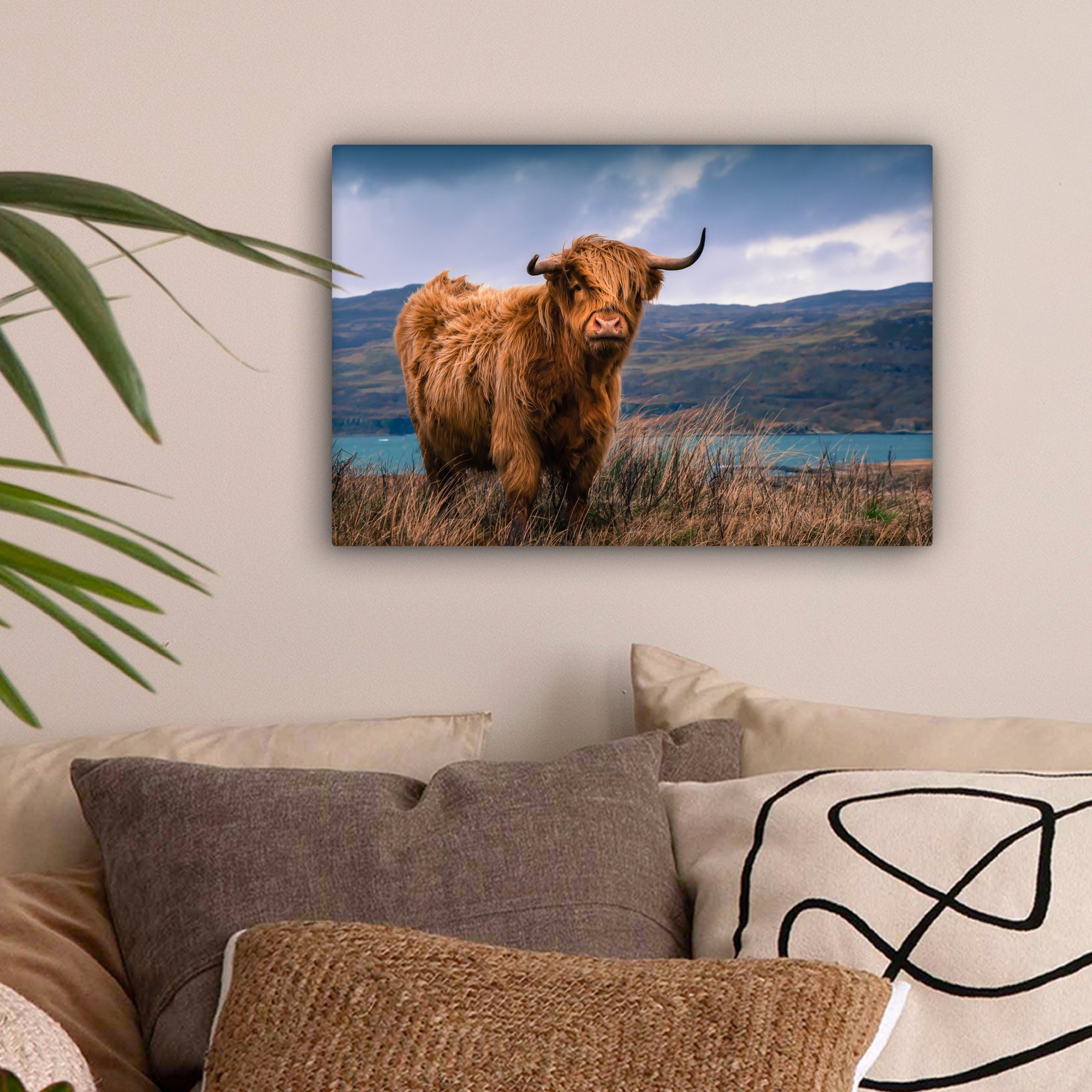 OneMillionCanvasses® Leinwandbild Schottischer Highlander - Berg - Wasser - günstig online kaufen