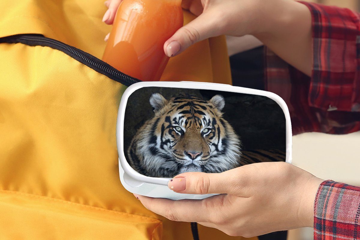 MuchoWow Lunchbox Tiger - - Natur, und Jungs Kunststoff, weiß und für Mädchen Erwachsene, Brotdose, Brotbox Höhle für Kinder (2-tlg)