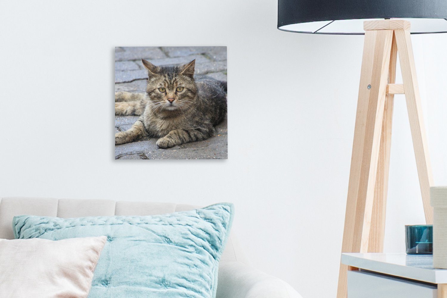 Wohnzimmer - - bunt - Katze Mädchen Tier Schlafzimmer - OneMillionCanvasses® - (1 St), Kind, - Bilder Leinwand Kinder Leinwandbild Jungen für Braun