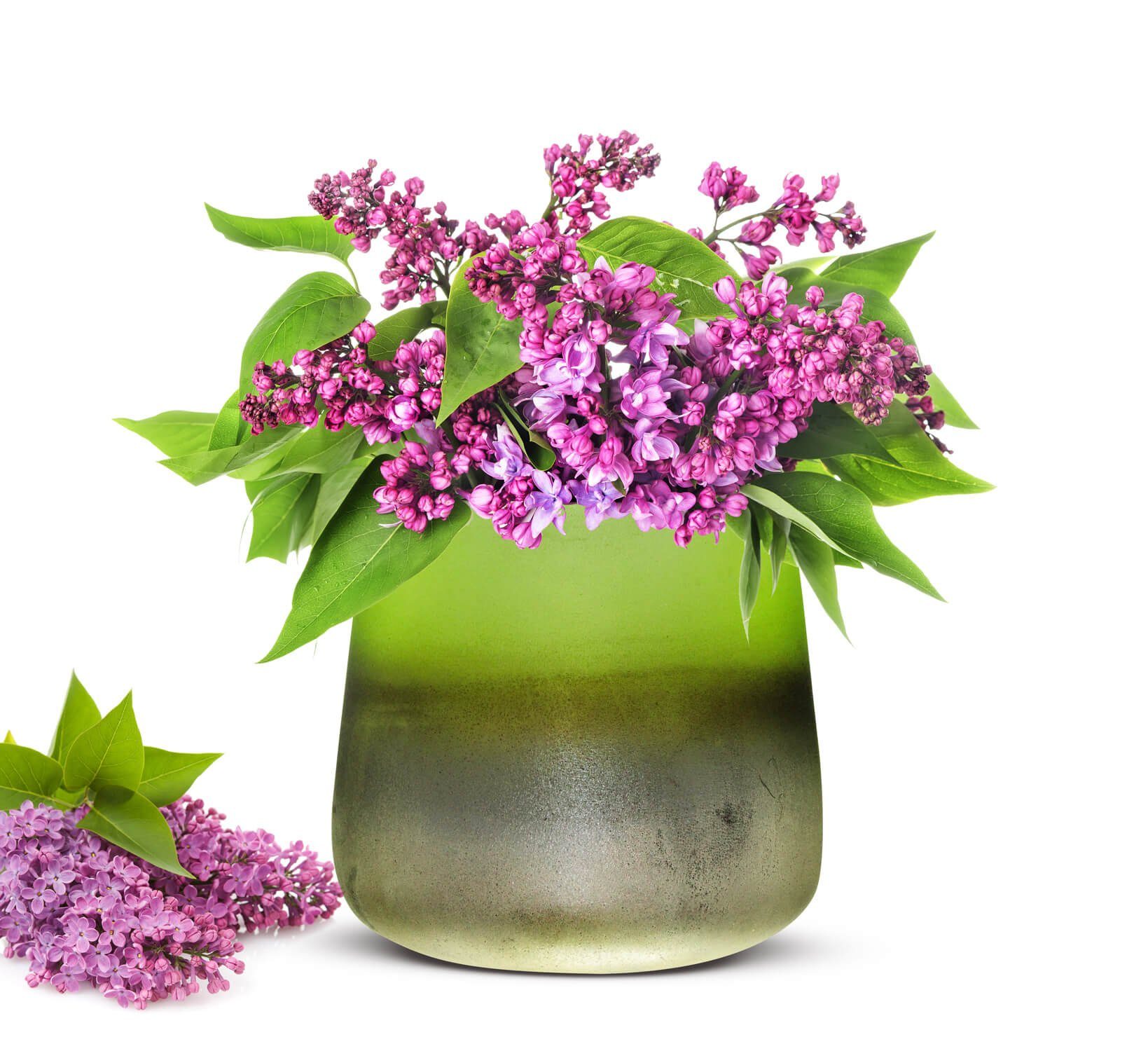 [Überraschender Preis!] Sendez Blumentopf Blumenvase Barbara Glasvase Grün Tischvase Pflanztopf Vase Blumentopf Dekovase