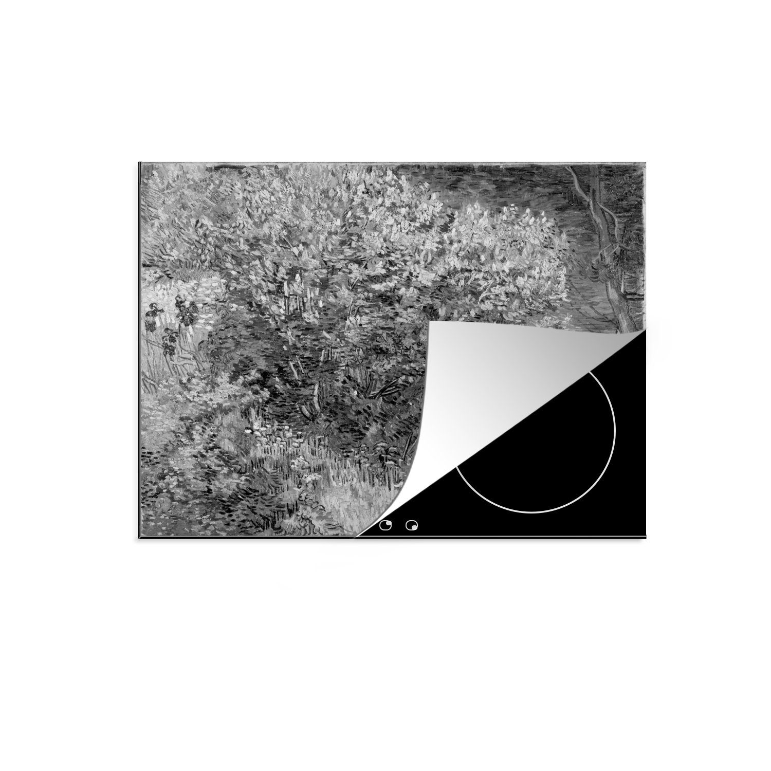 (1 Herdblende-/Abdeckplatte Schwarz für - cm, - die tlg), - küche, MuchoWow Induktionsmatte 59x52 van Gogh Vinyl, Ceranfeldabdeckung Fliederbusch Vincent Weiß,