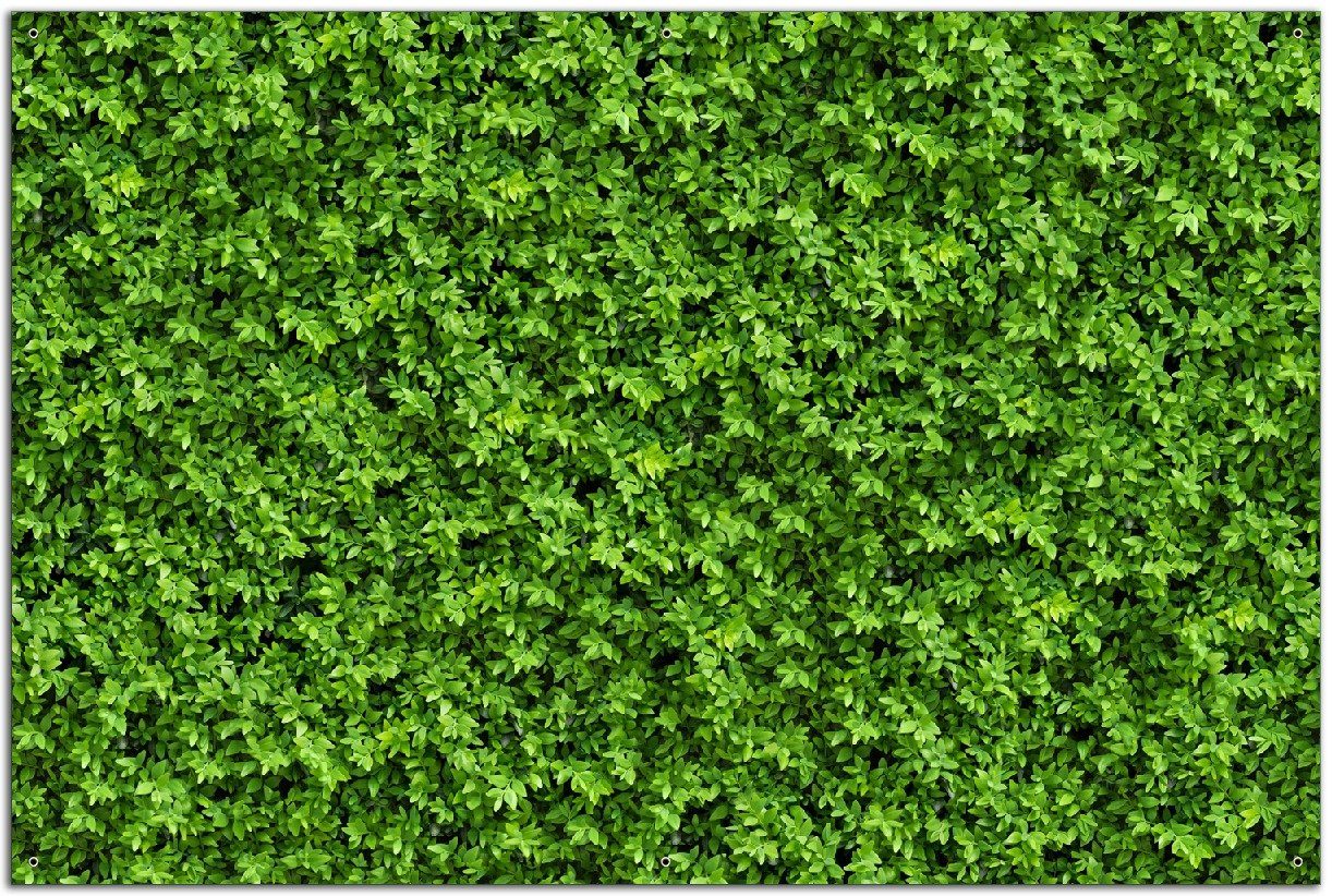Wallario Sichtschutzzaunmatten Grüne Hecke