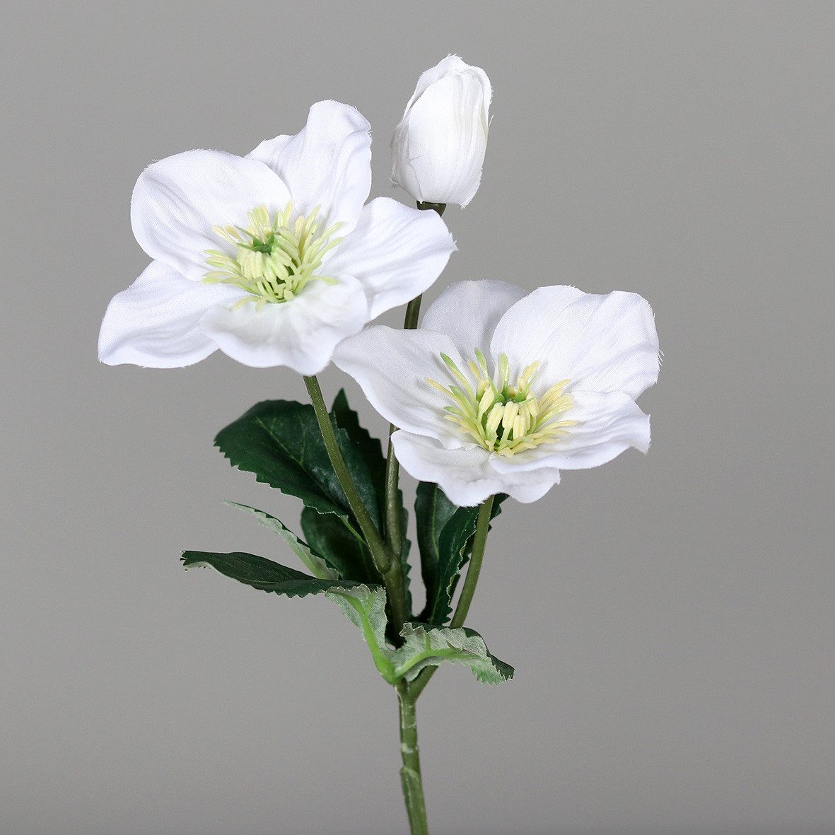 Kunstblume Christrose 34cm DP Dekoblumen künstliche Blumen Helleborus, Seid günstig online kaufen