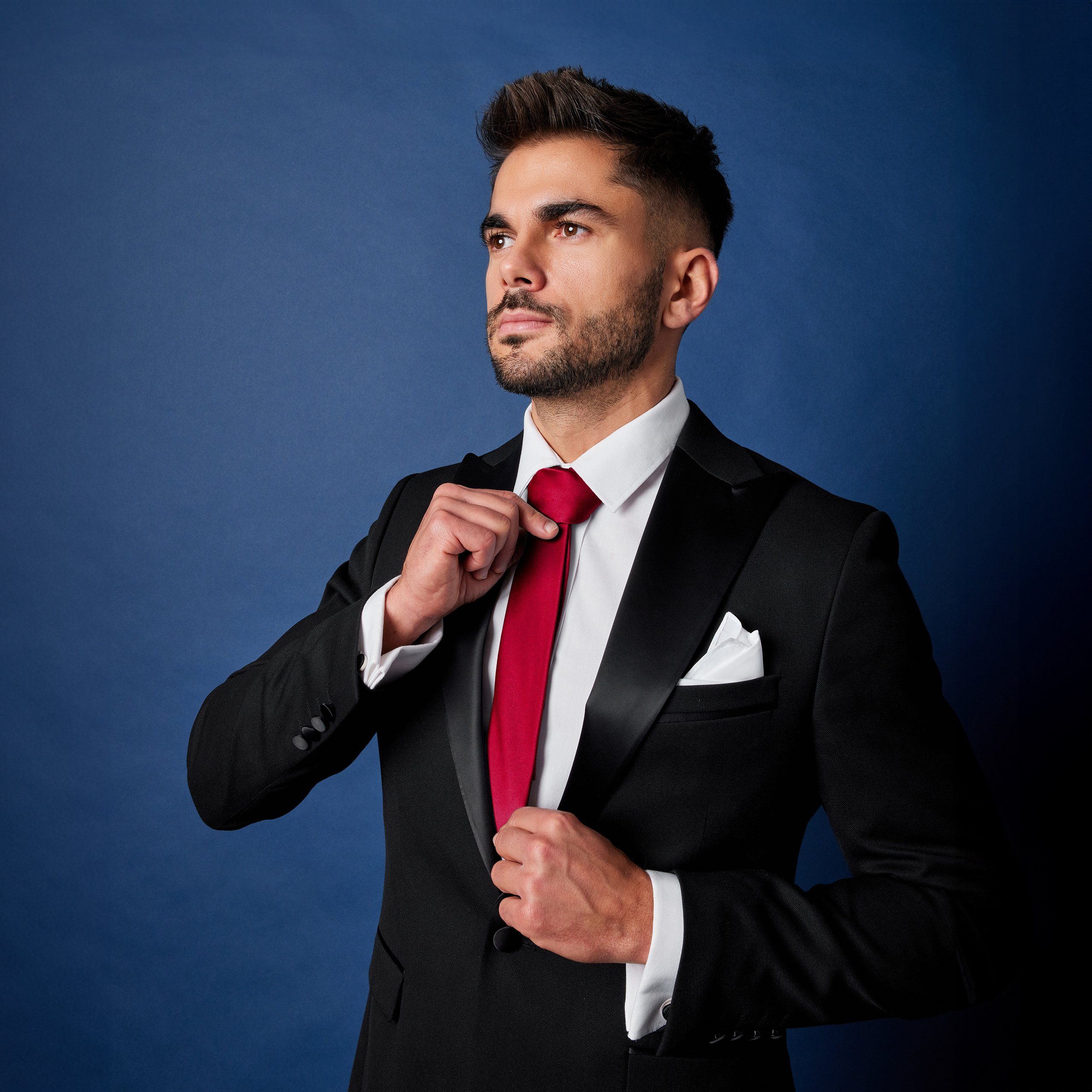 Ladeheid Krawatte Klassische Herren matt Vielfältige Farben TMM-8 150cmx8cm (1-St)