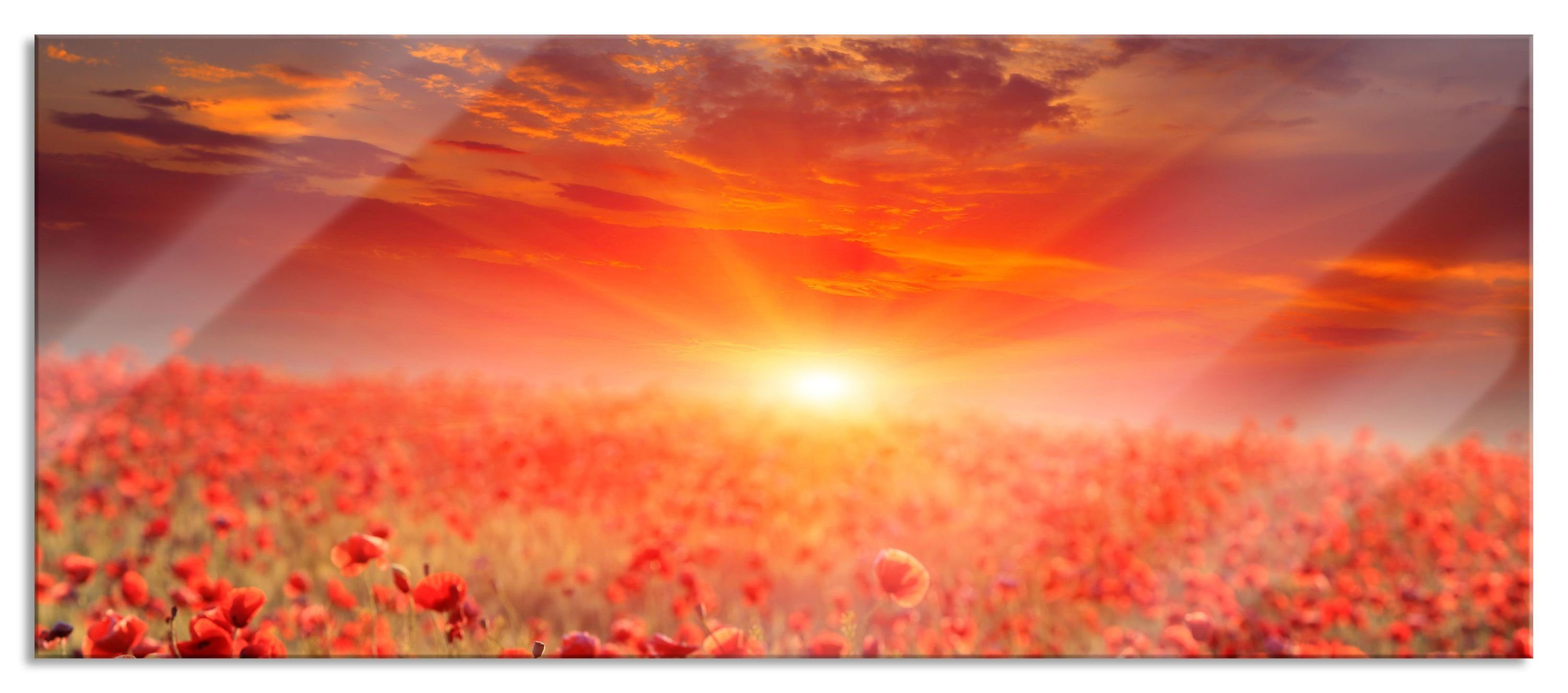 Glasbild Mohnblütenfeld bei Sonnenuntergang
