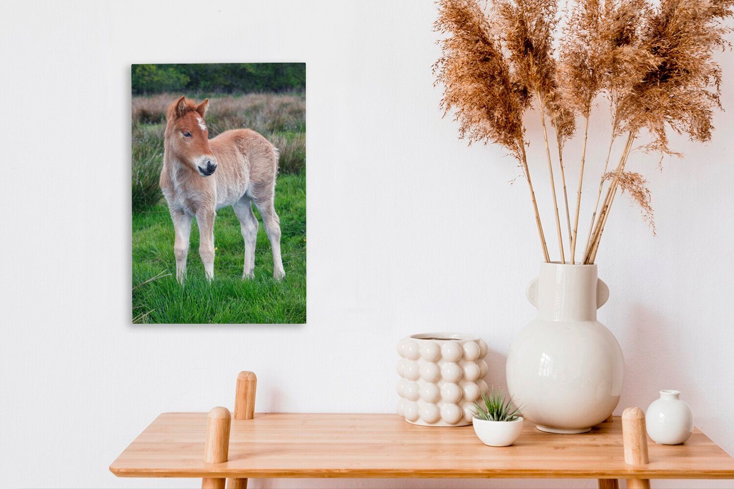 Zackenaufhänger, 20x30 Leinwandbild Leinwandbild OneMillionCanvasses® Fohlen hohen fertig Gemälde, bespannt St), inkl. Gras, grünen cm (1 im