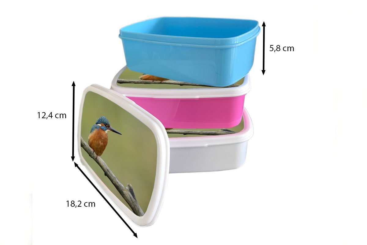 Erwachsene, Kunststoff, für MuchoWow Eisvogel Orange - Lunchbox Brotbox (2-tlg), Brotdose Kinder, Snackbox, Mädchen, rosa Zweige, - Kunststoff
