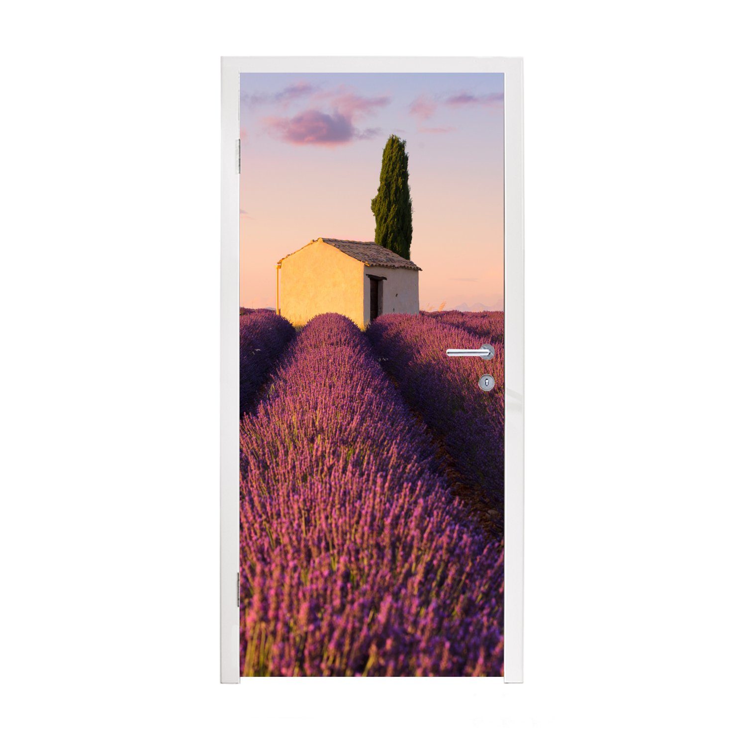 Türaufkleber, Fototapete Tür, Türtapete lila von bedruckt, für Lavendel, cm St), Reihen MuchoWow Matt, (1 75x205