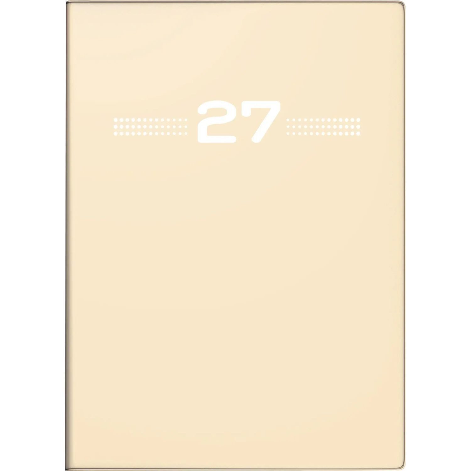 Taschenkalender rido/idé 7013202037 Taschenkalender Mod. perfect/Technik I 2027 A6,...