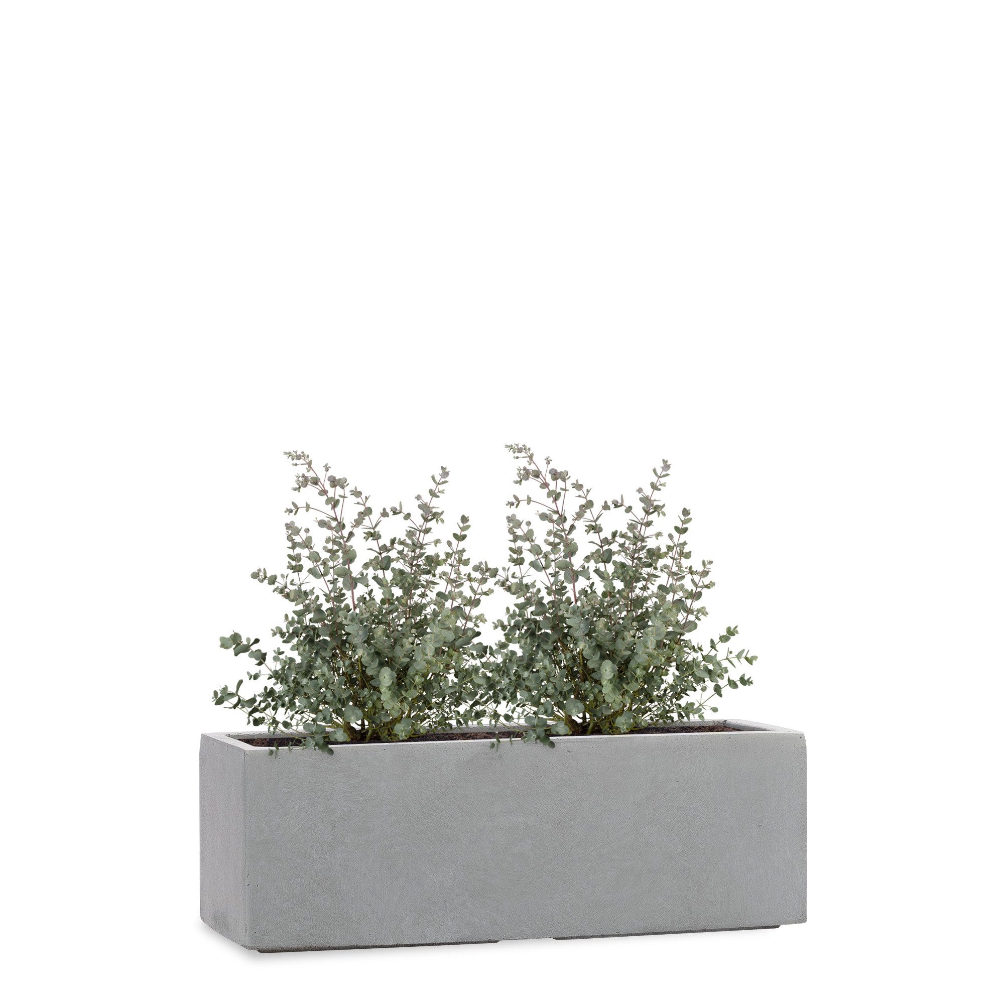 Pflanzwerk® Pflanzkübel TUB Frostbeständiger Fensterbank Premium Blumenkübel mit Lotus-Effekt, Fiberglas - Handgefertigt - Rechteckig – Frostbeständig