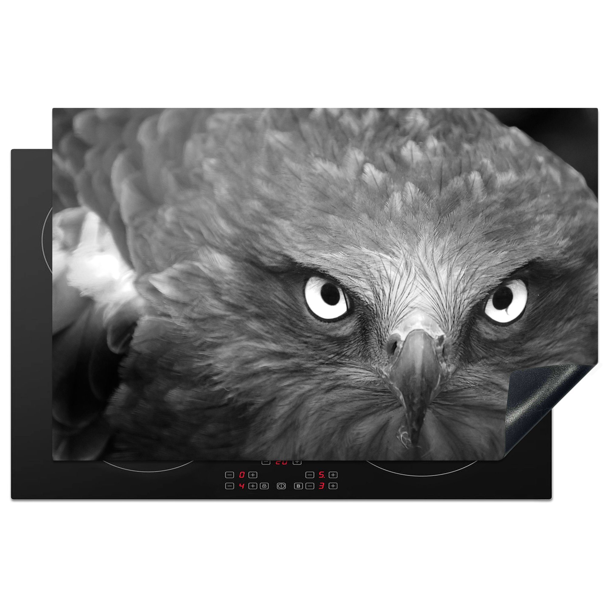MuchoWow Herdblende-/Abdeckplatte Adler - Schwarz - Weiß, Vinyl, (1 tlg), 81x52 cm, Induktionskochfeld Schutz für die küche, Ceranfeldabdeckung