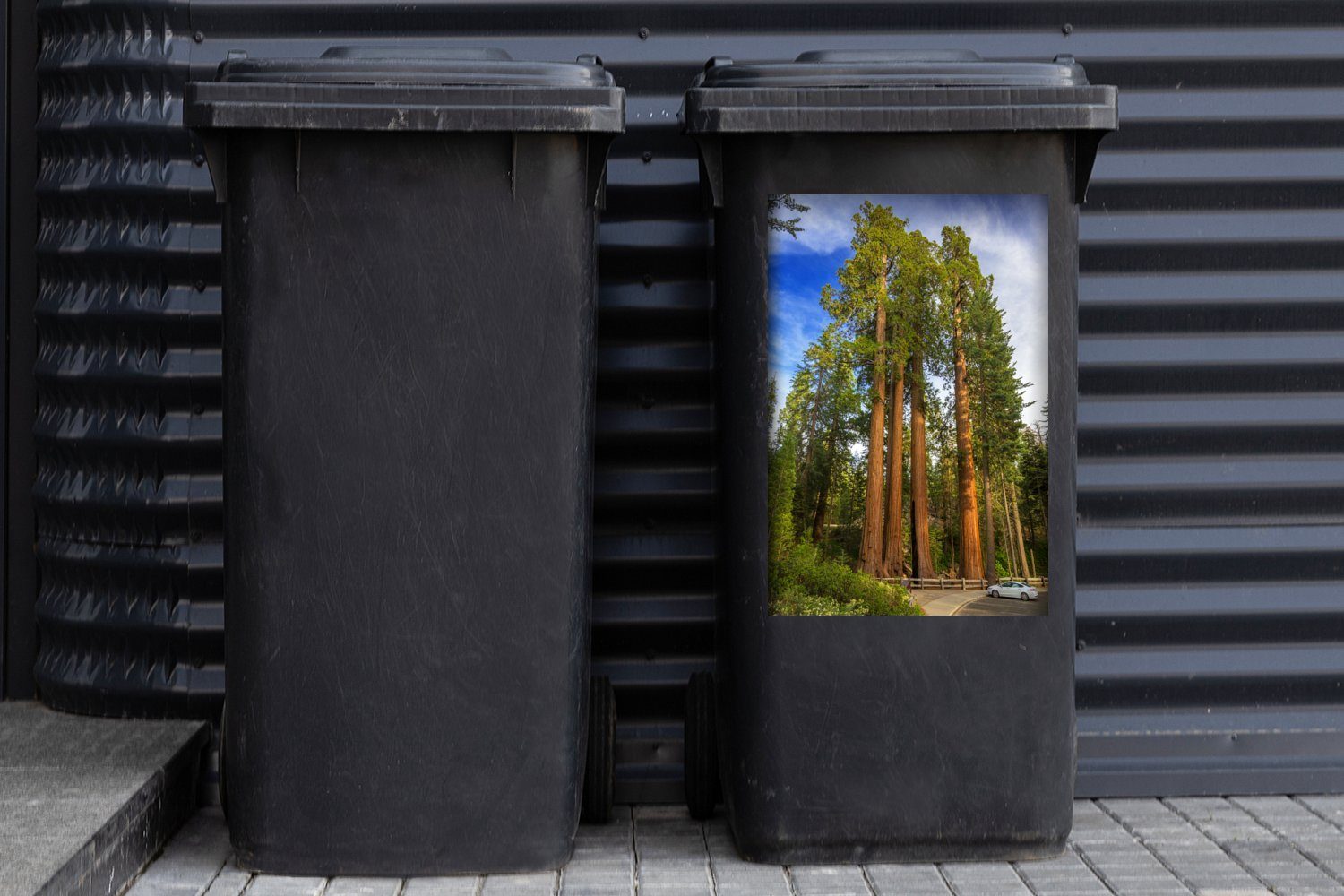 St), Wandsticker MuchoWow Grant Container, (1 Grove in Große Mülleimer-aufkleber, Sticker, Mammutbäume Mülltonne, Abfalbehälter