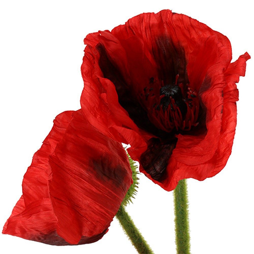 Kunstblume Mohnblume Rot Kunstblume 58-74cm 3er günstig online kaufen