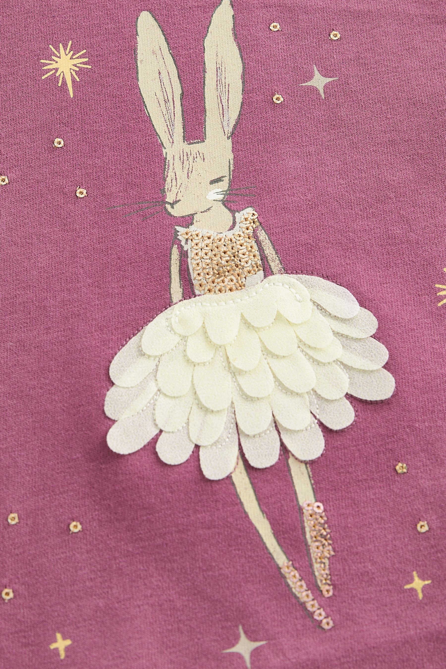 Langärmeliges Next Langarmshirt T-Shirt Ballerina (1-tlg) Bunny
